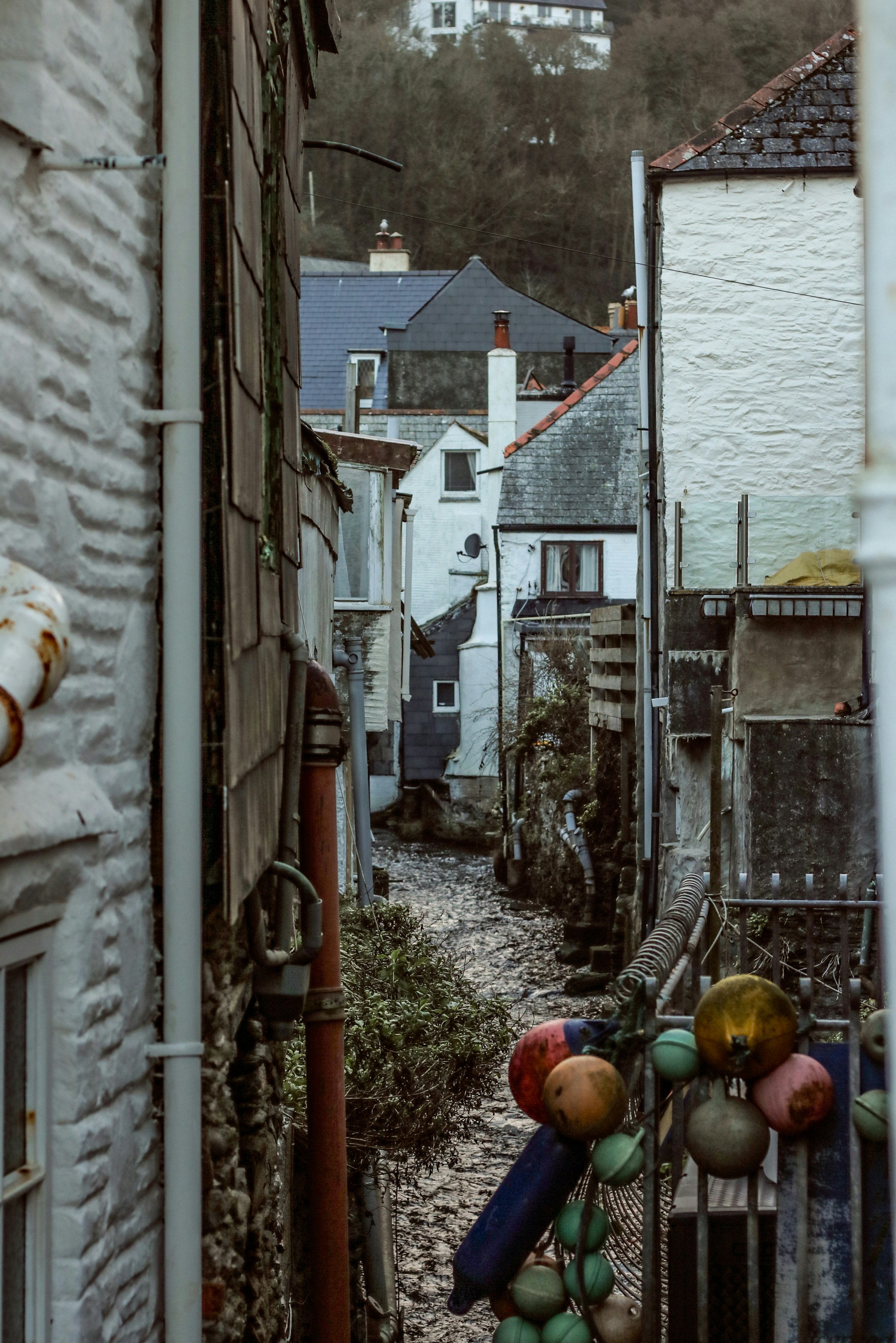 Photo by focalinsight