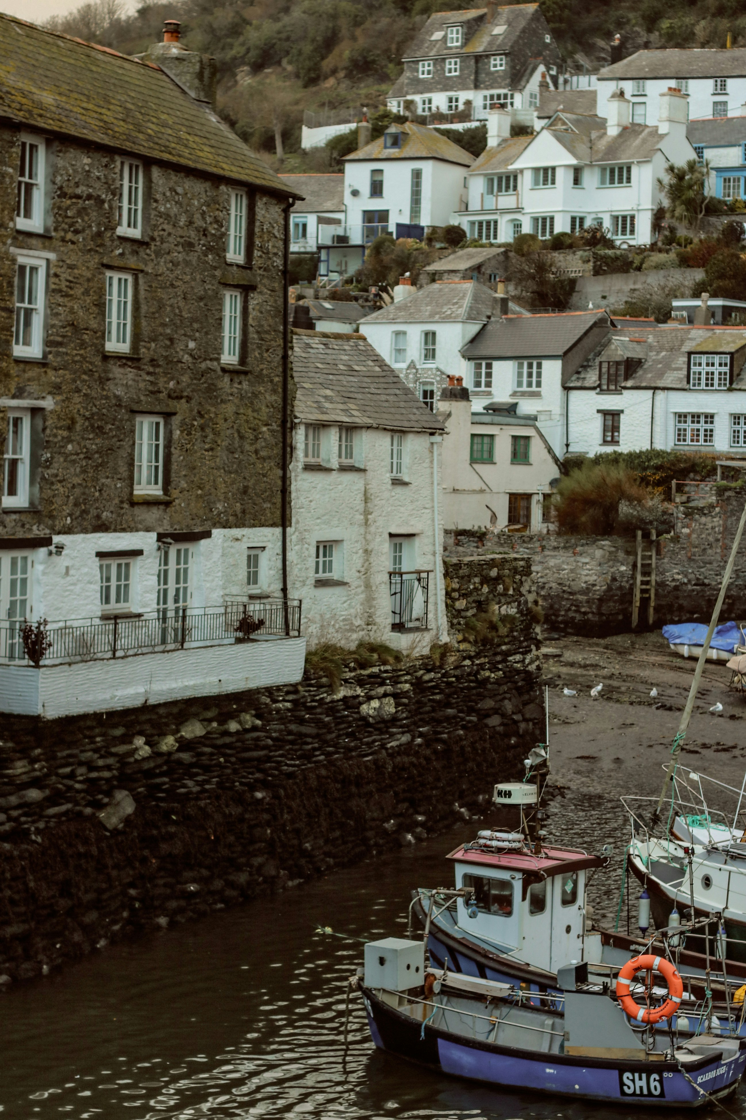 Photo by focalinsight