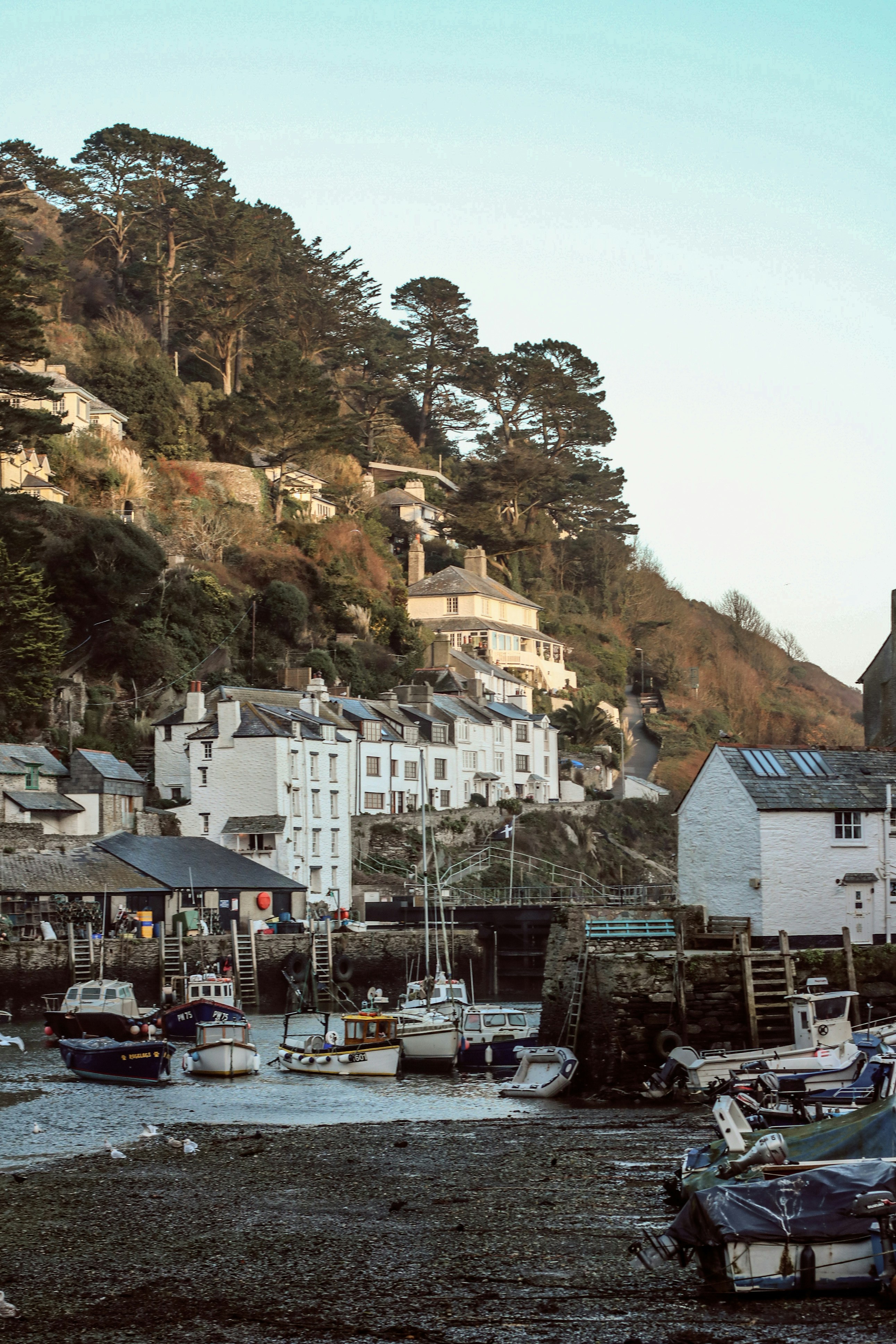 Photo by focalinsight