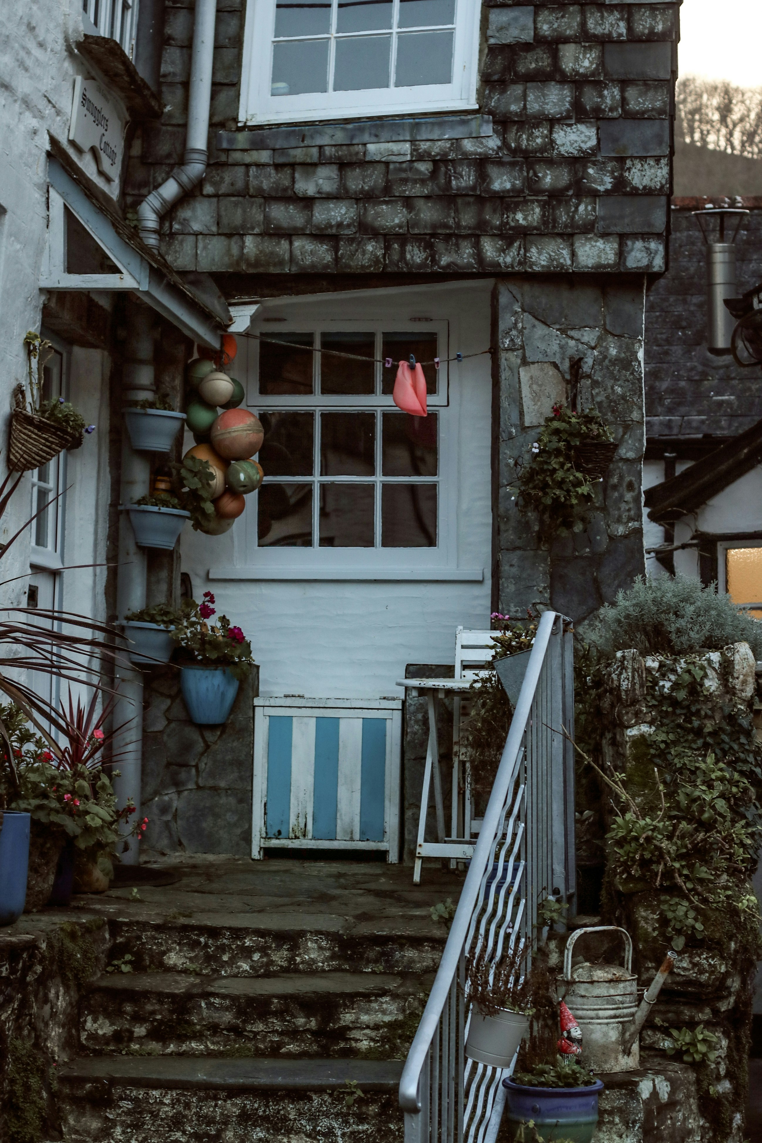 Photo by focalinsight