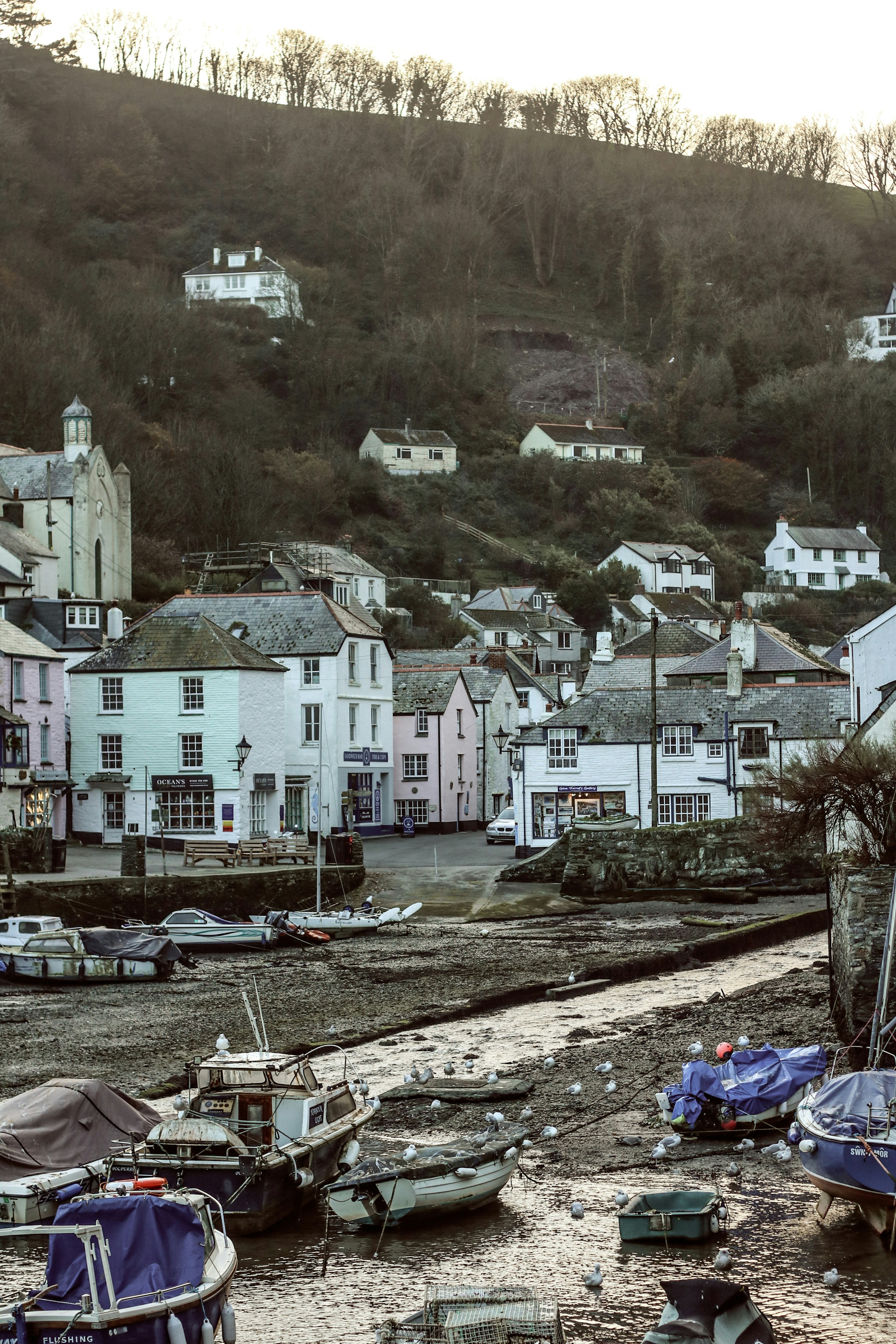 Photo by focalinsight