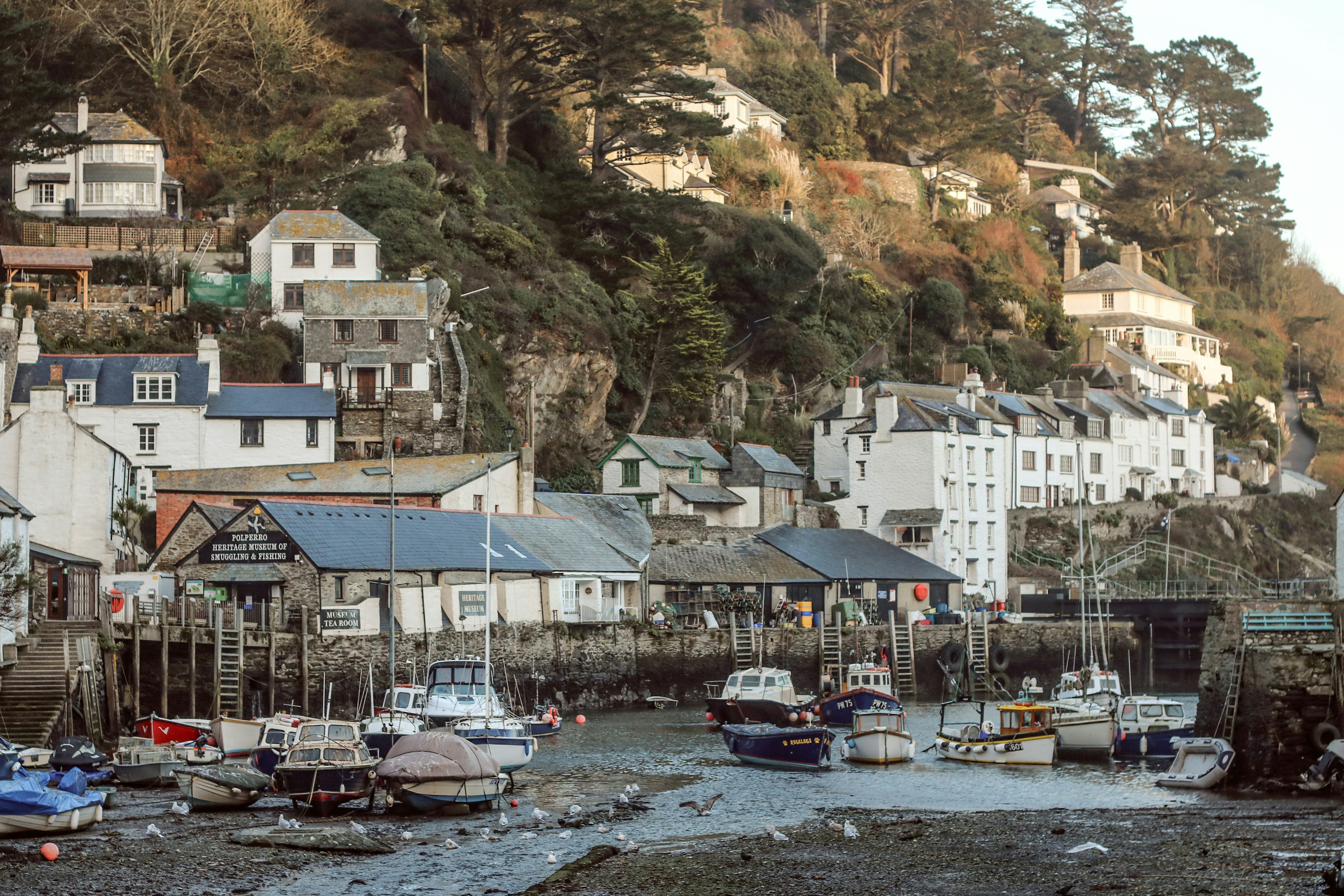 Photo by focalinsight