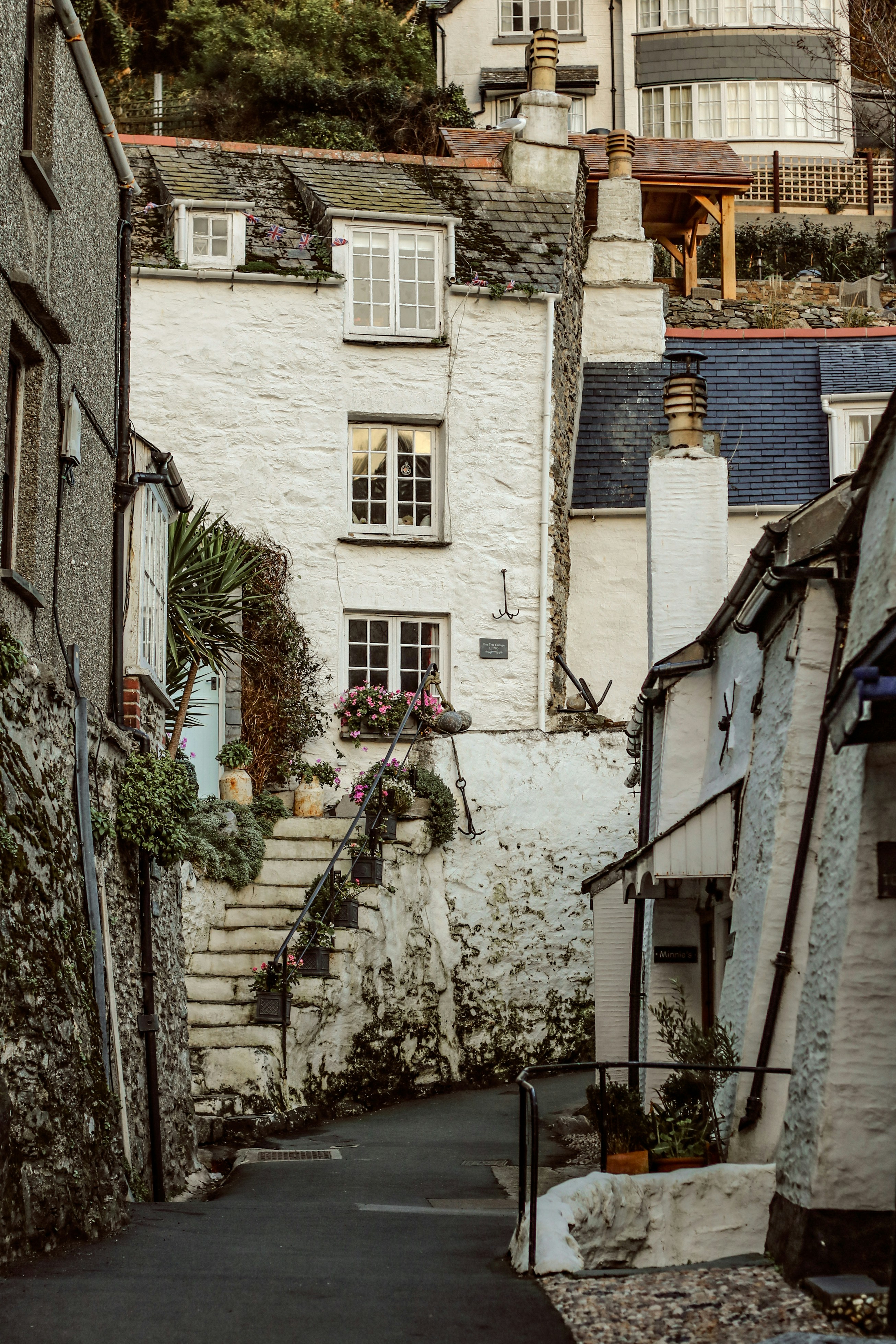 Photo by focalinsight