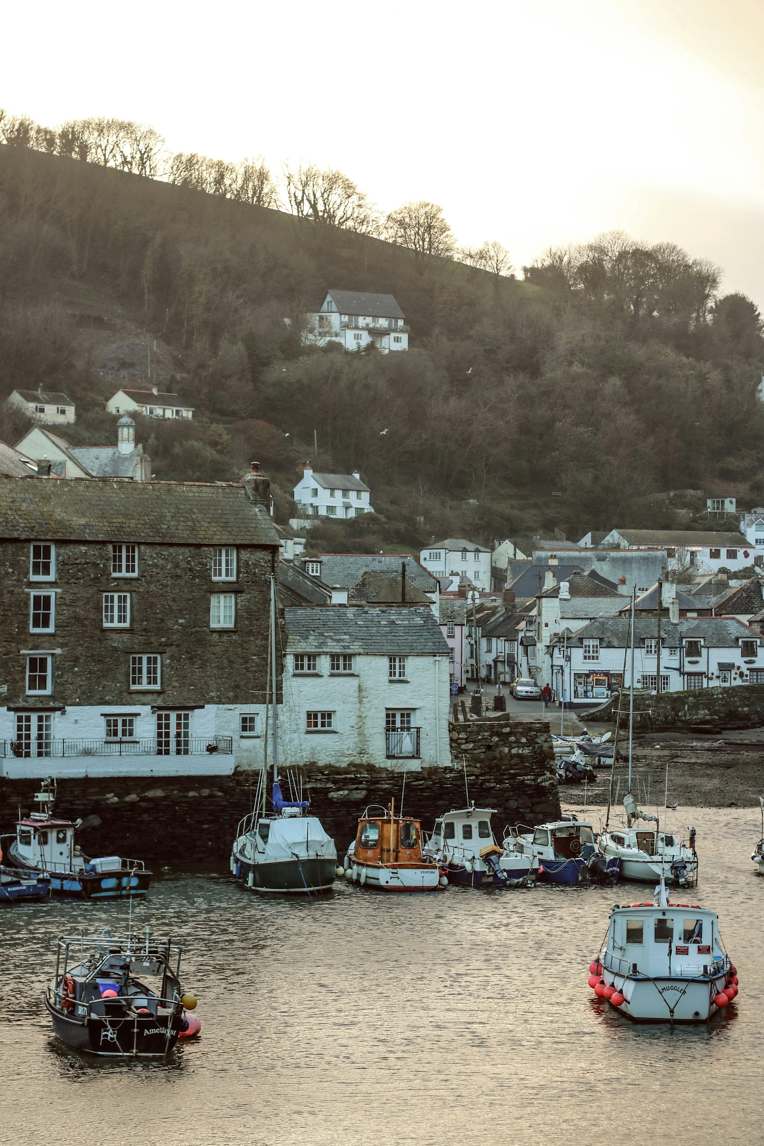 Photo by focalinsight