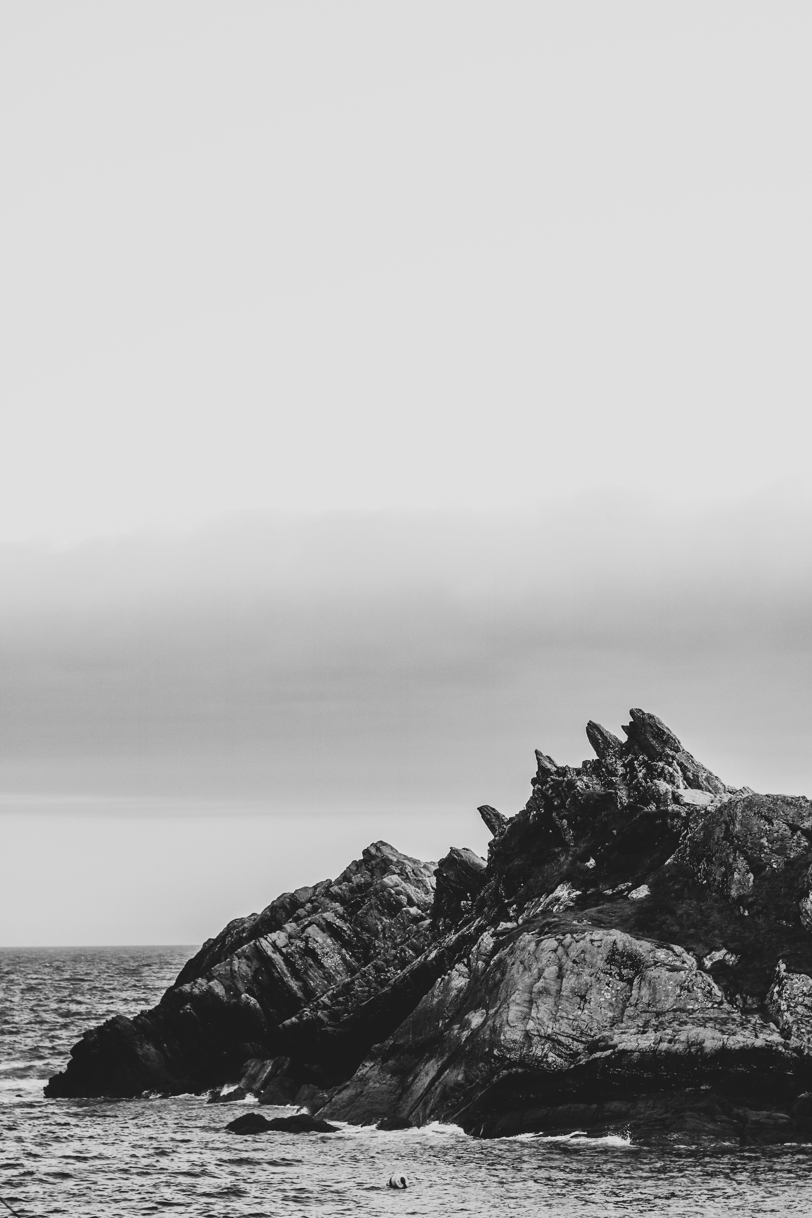 Photo by focalinsight