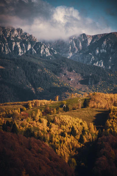 a valley between mountains with trees