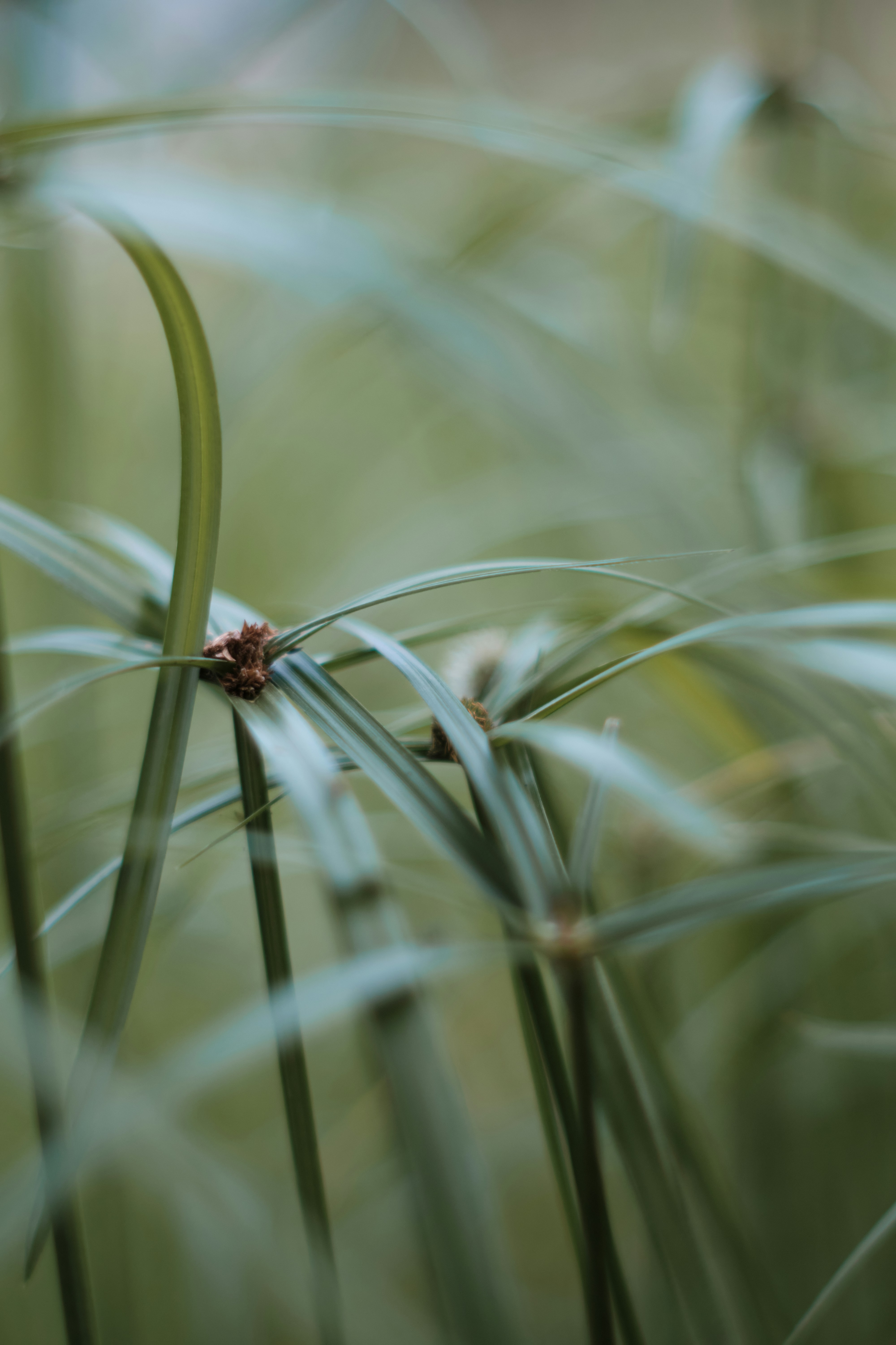 Photo by setsj