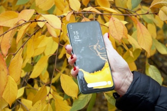 a person holding a phone