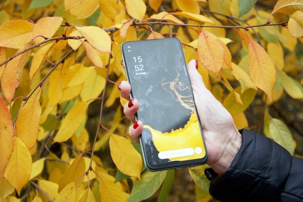 a person holding a phone