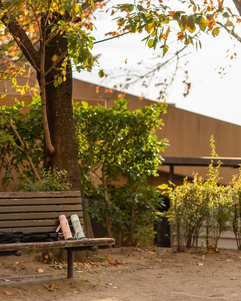 a bench in a park