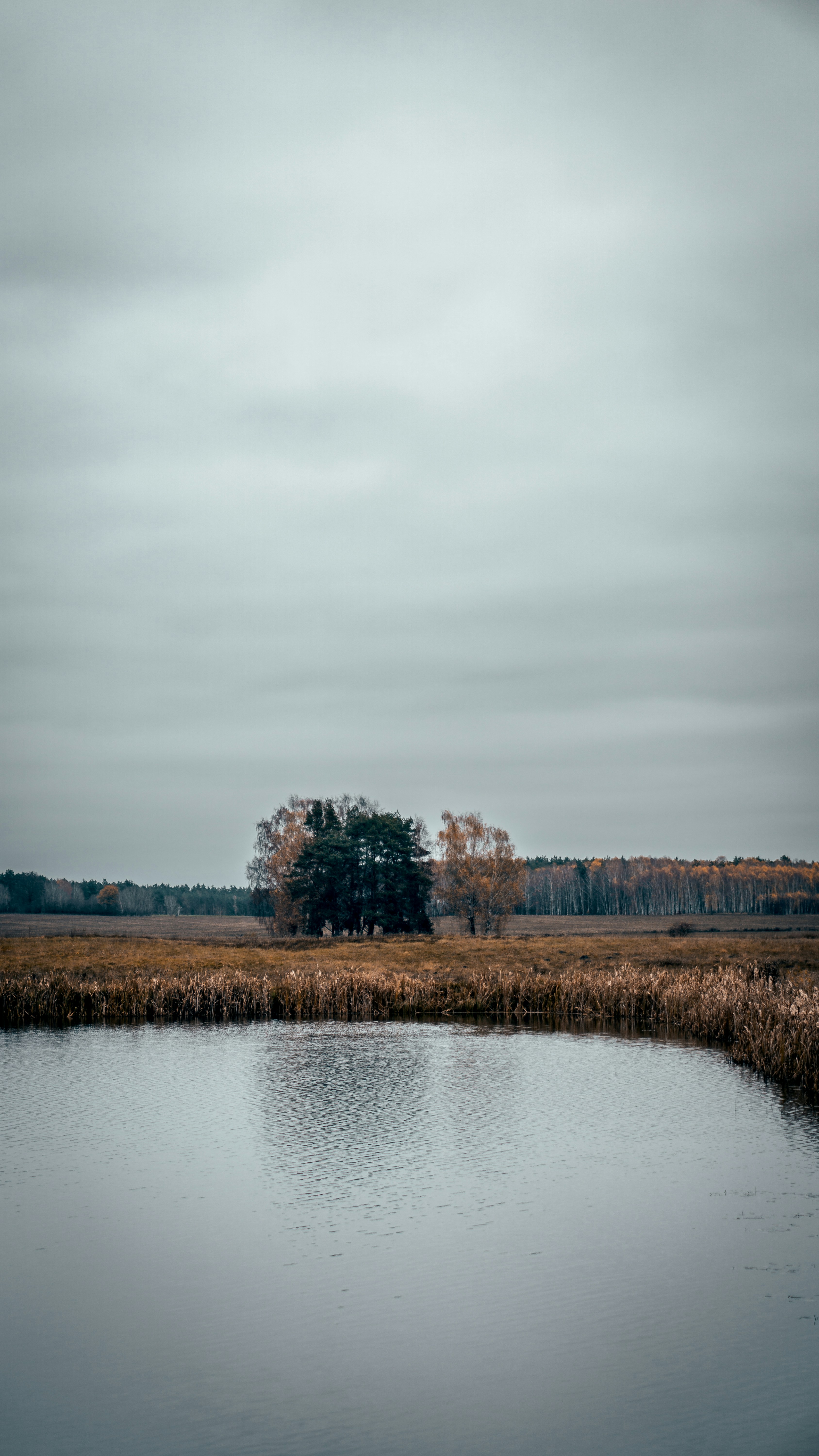 Photo by bielej