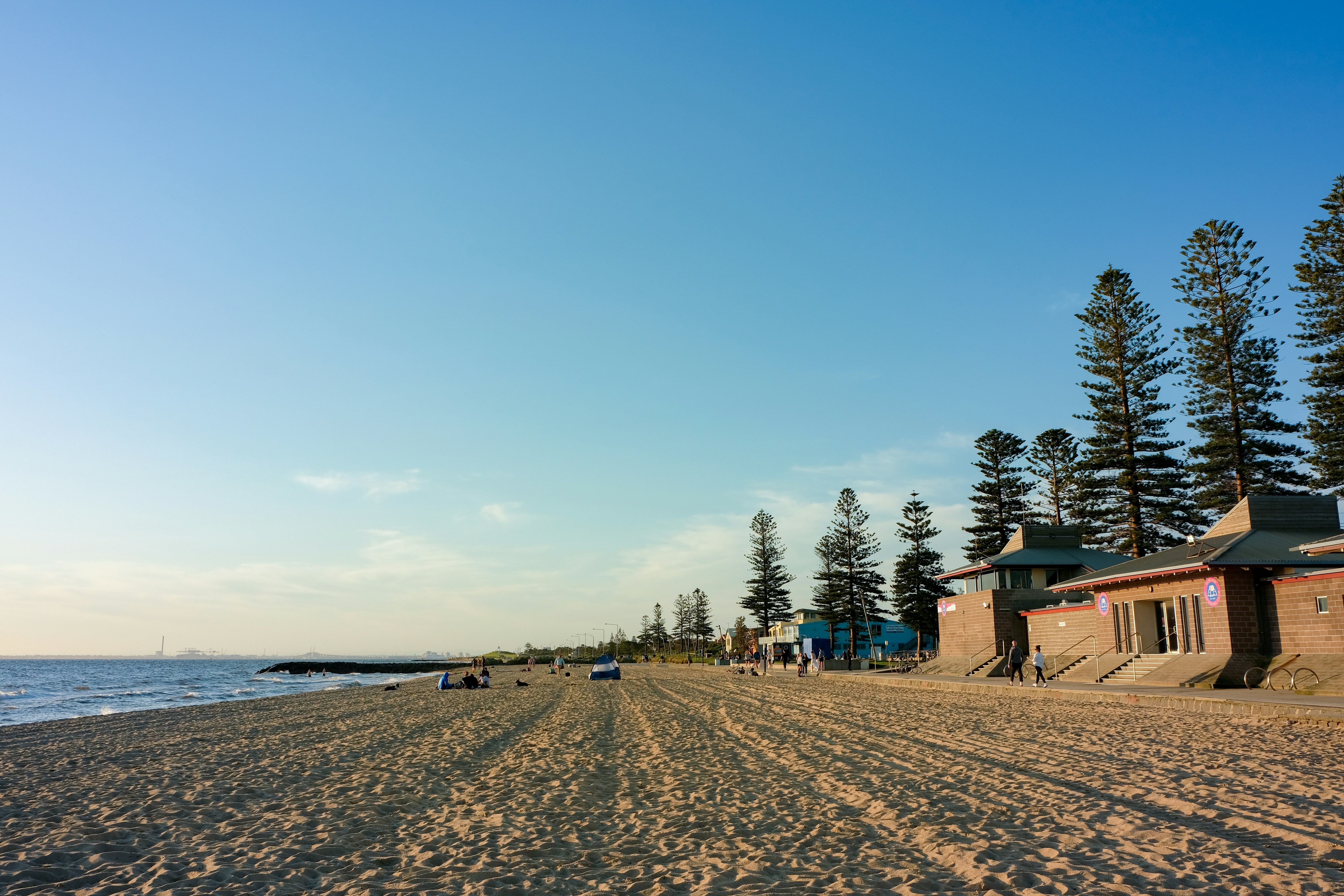 a beach with trees and buildings