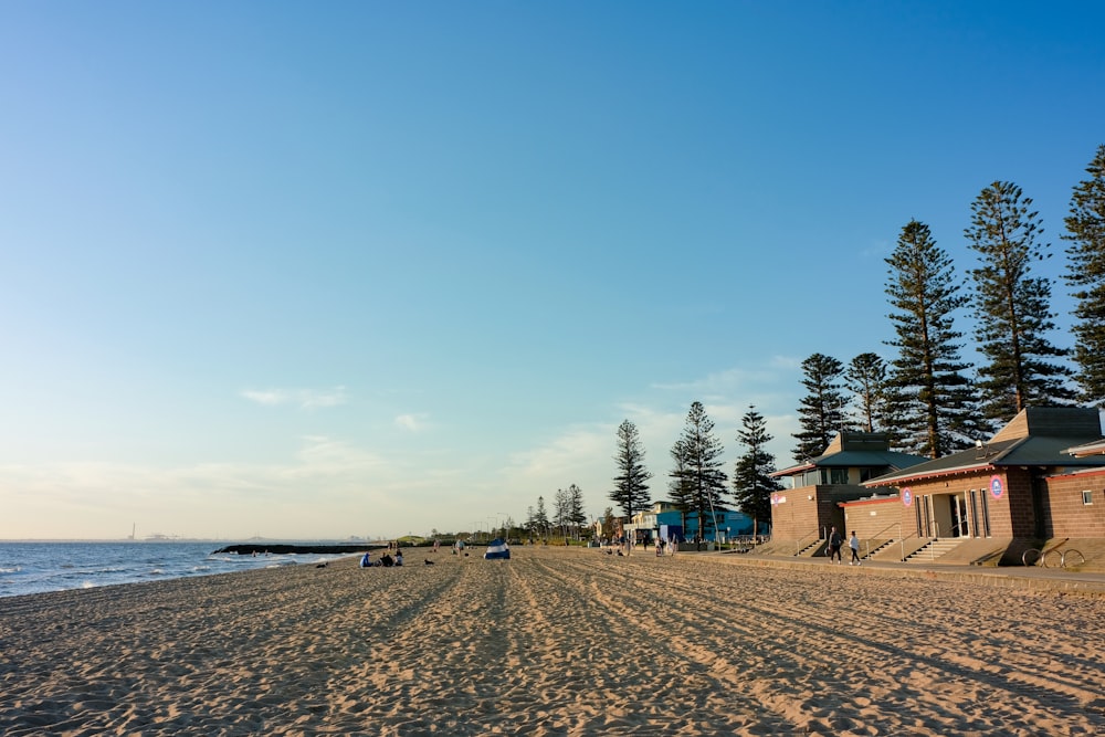 a beach with trees and buildings