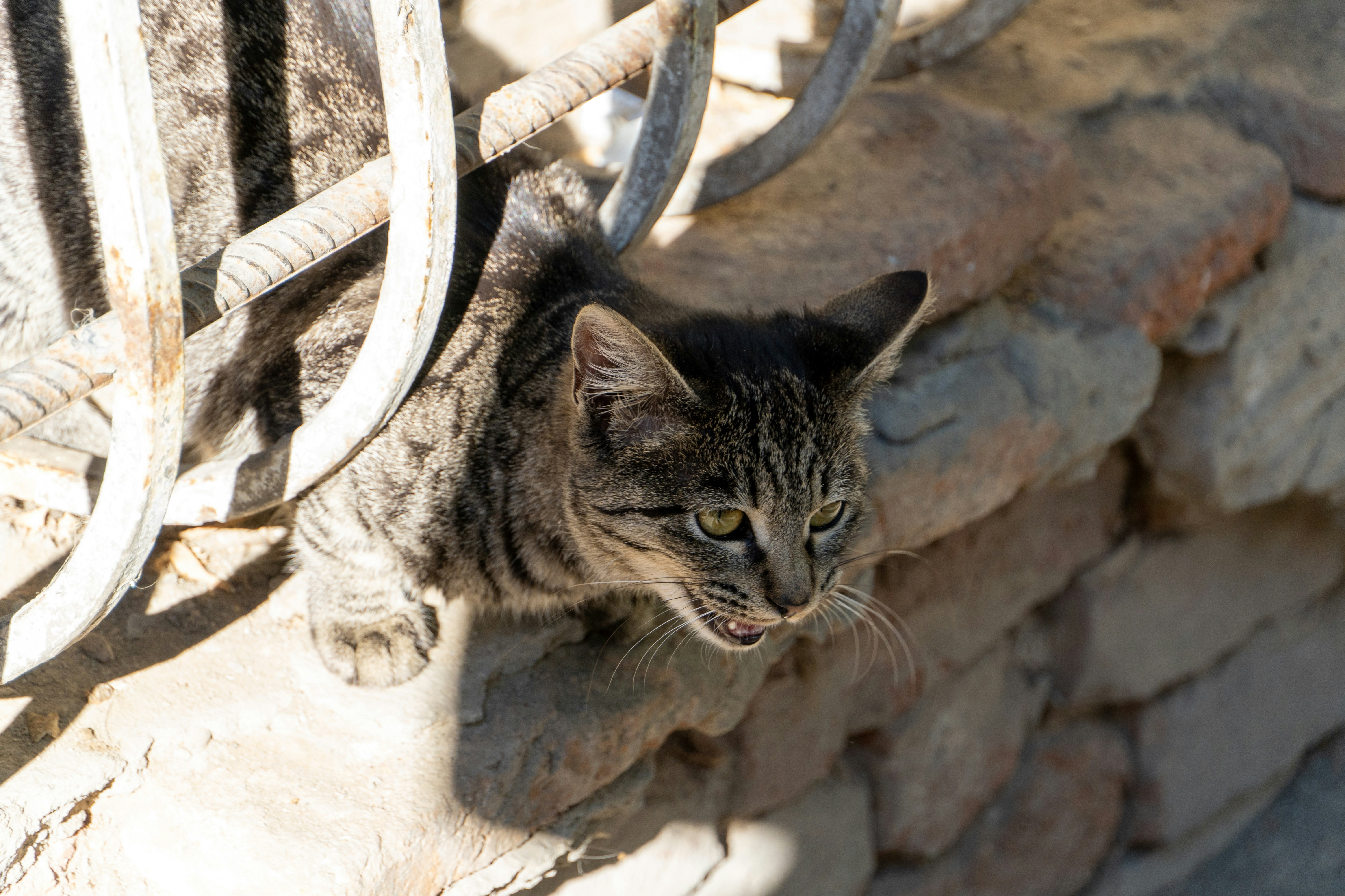 Photo by shabablinchikow