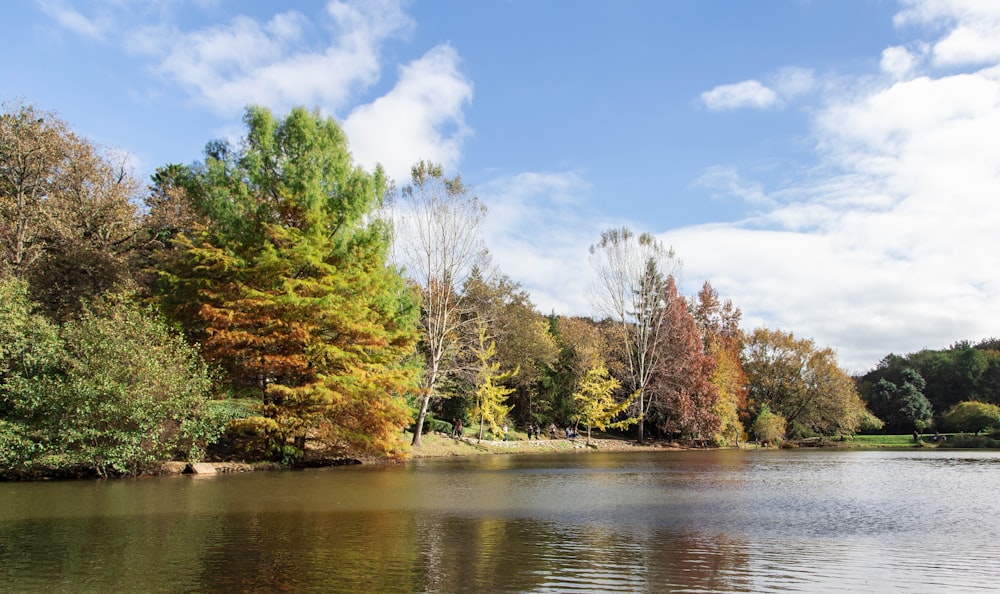 a body of water with trees around it