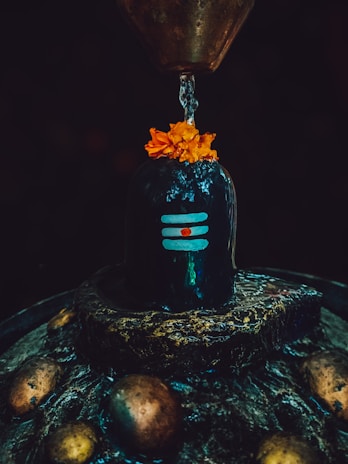 a flower in a glass vase