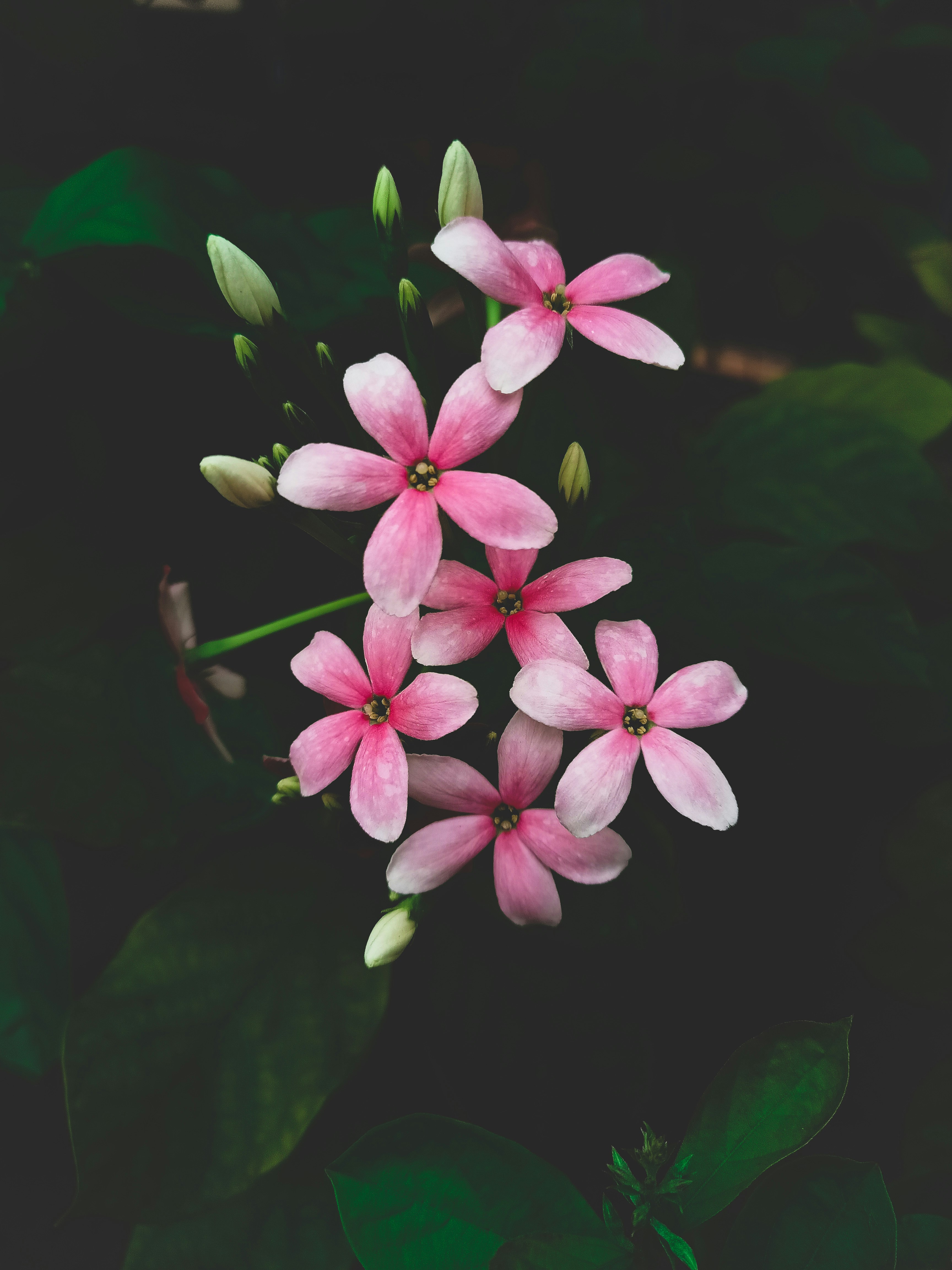Photo by vibgyor