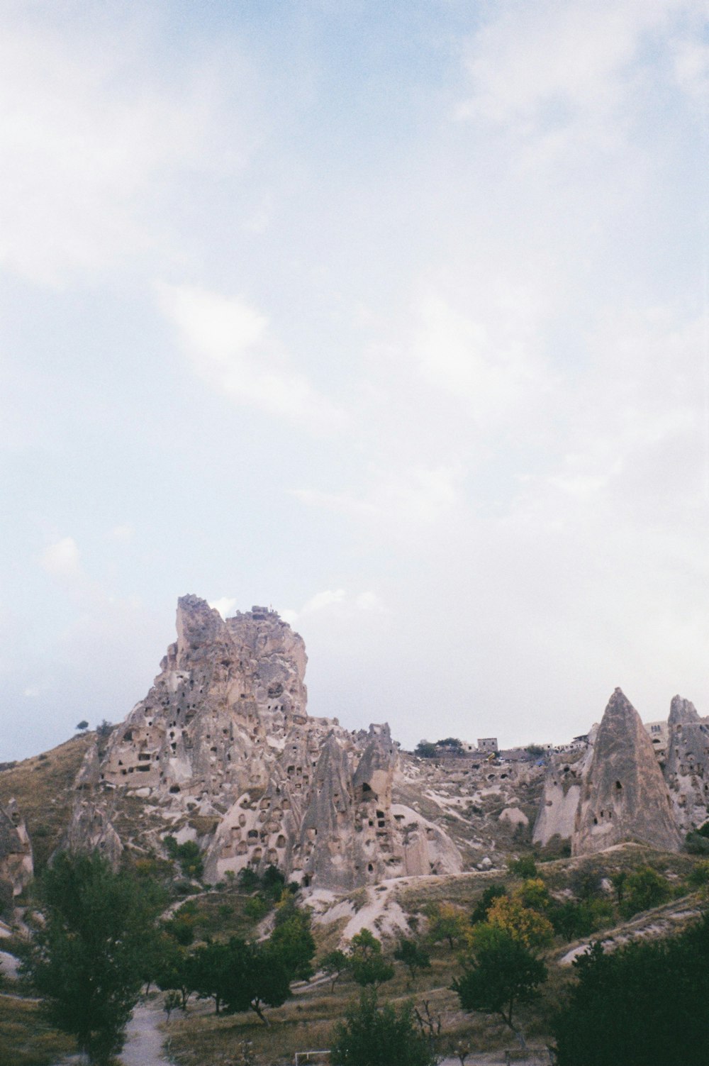 Un paysage avec des arbres et des rochers