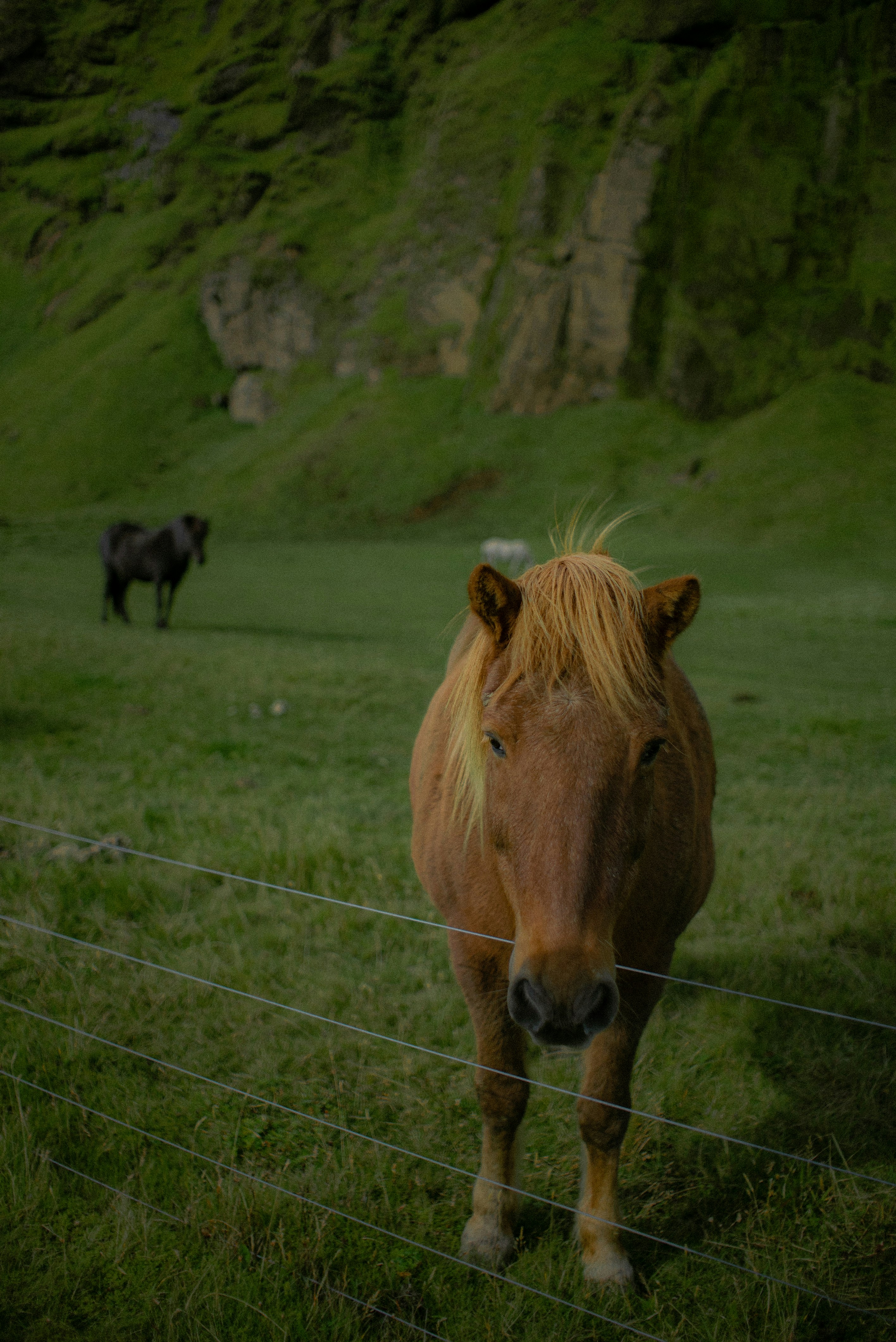 Photo by tarastruba