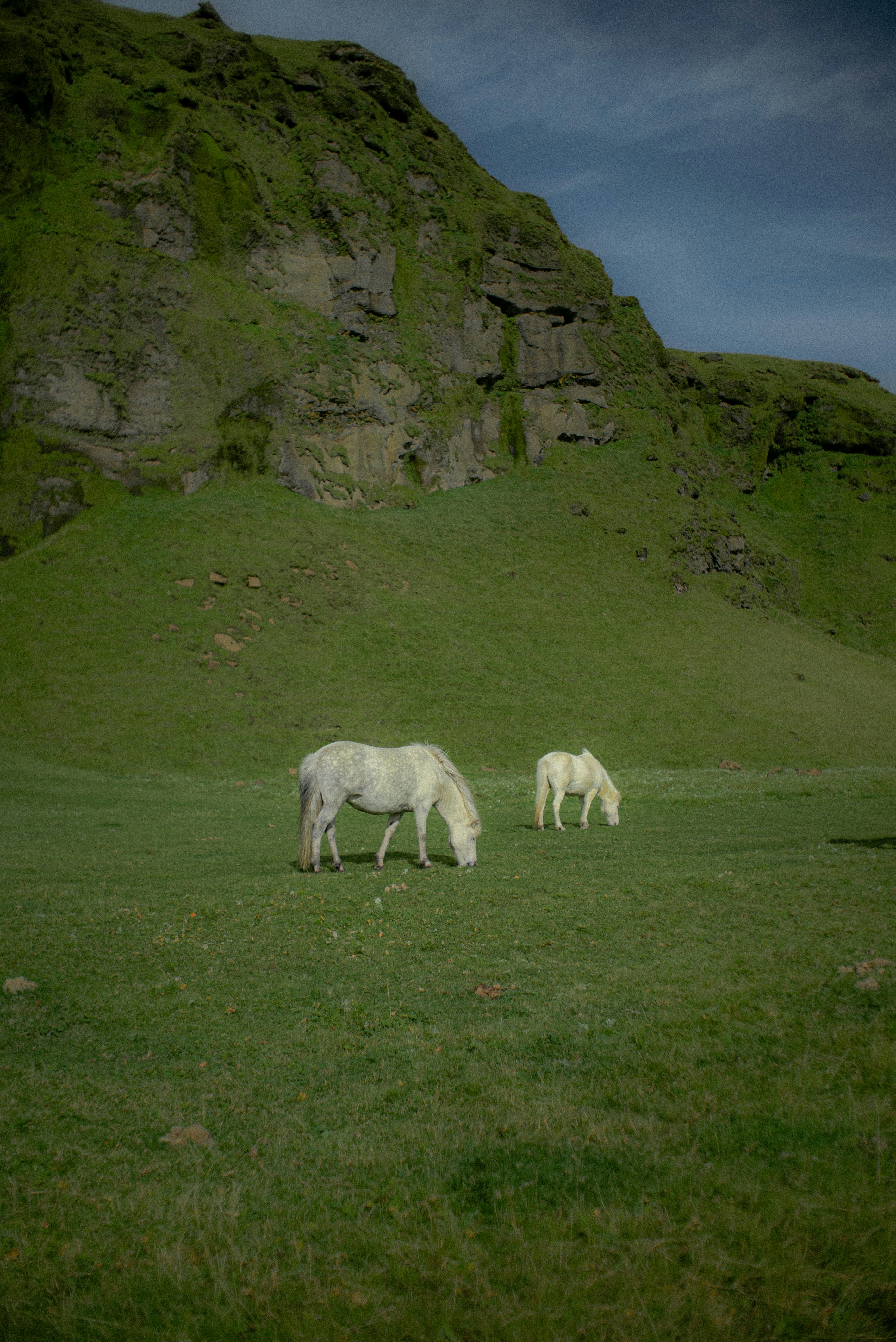 Photo by tarastruba