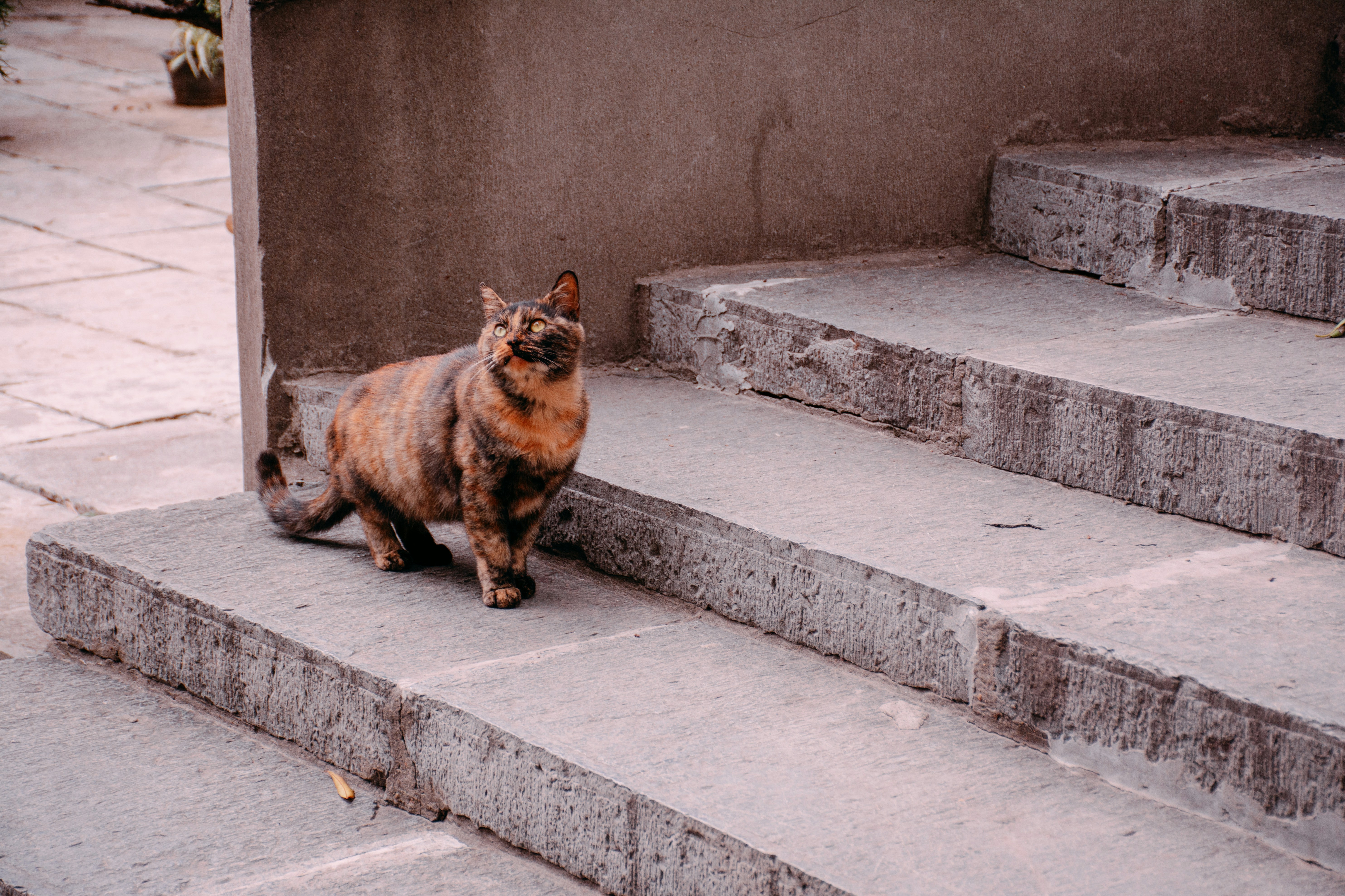 Photo by moononmoons