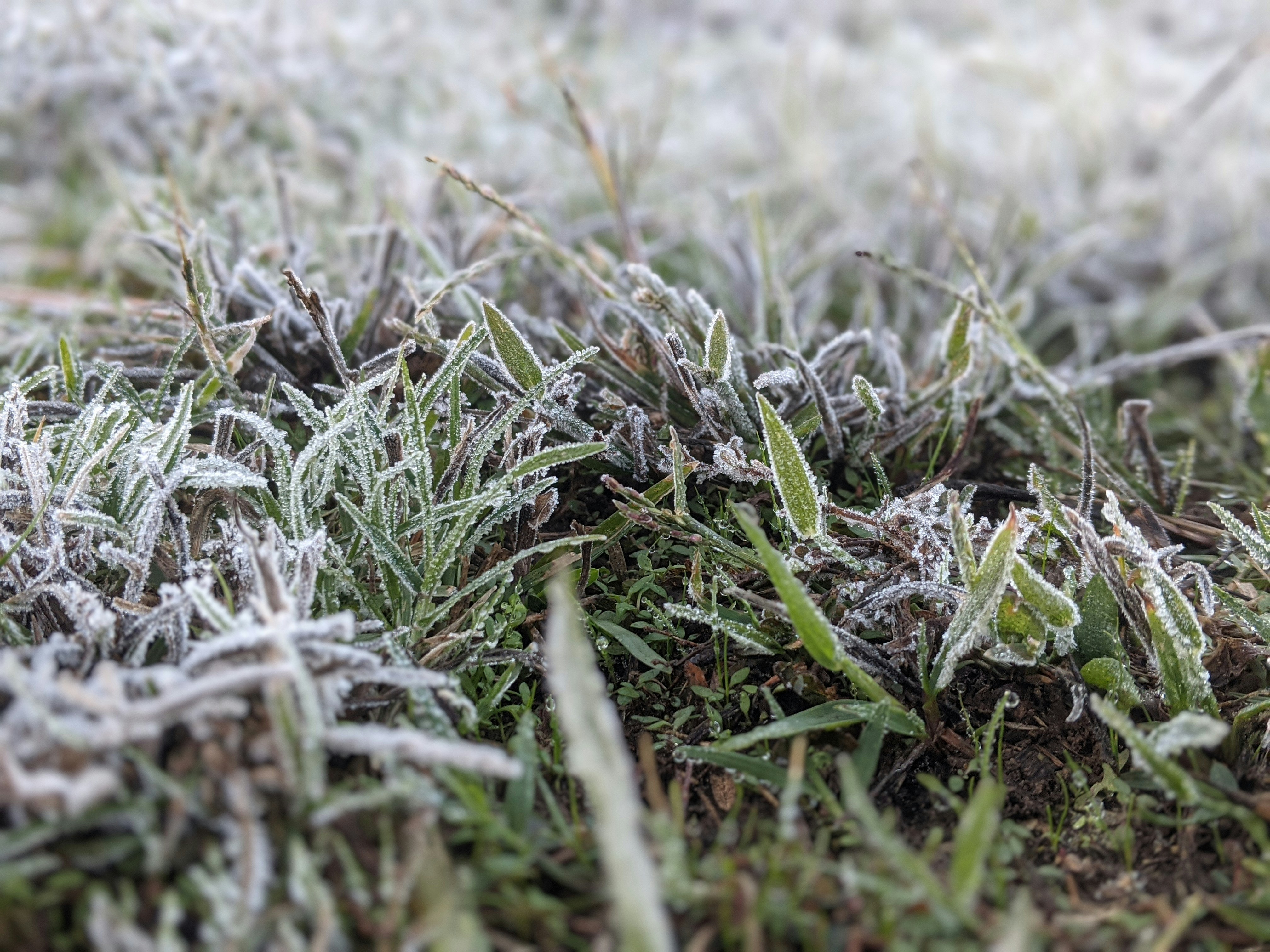 Photo by curriedflute