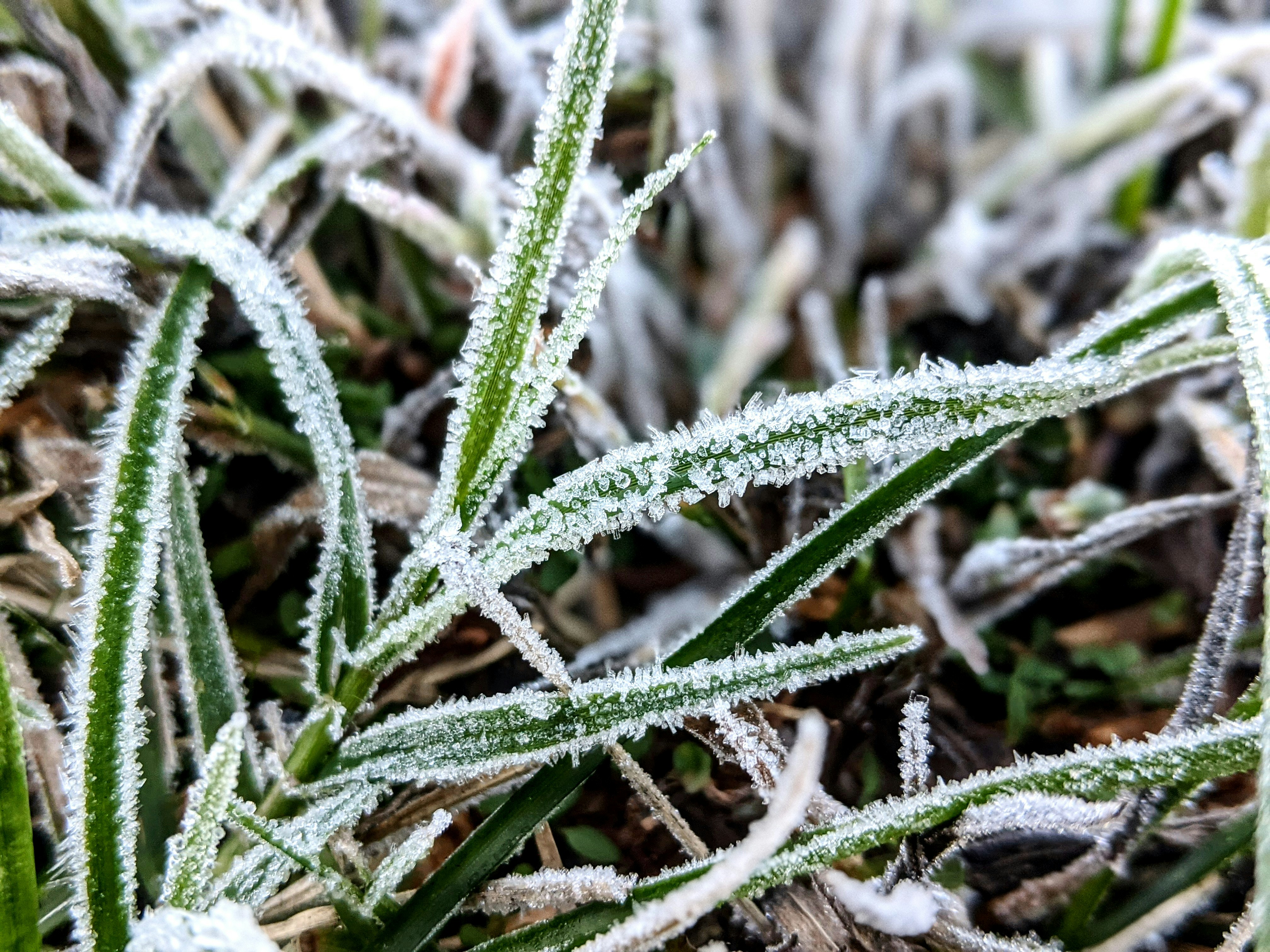 Photo by curriedflute