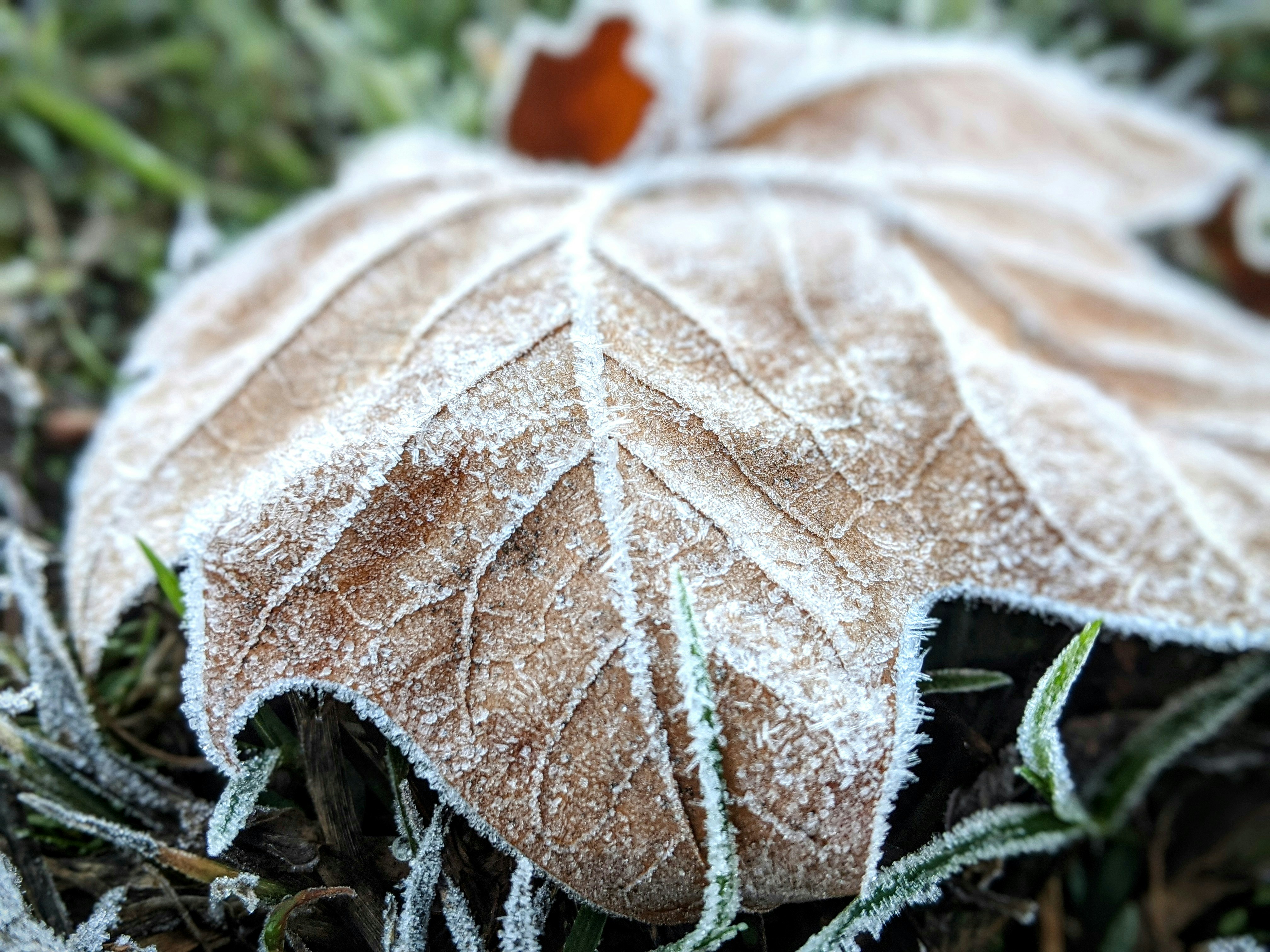 Photo by curriedflute