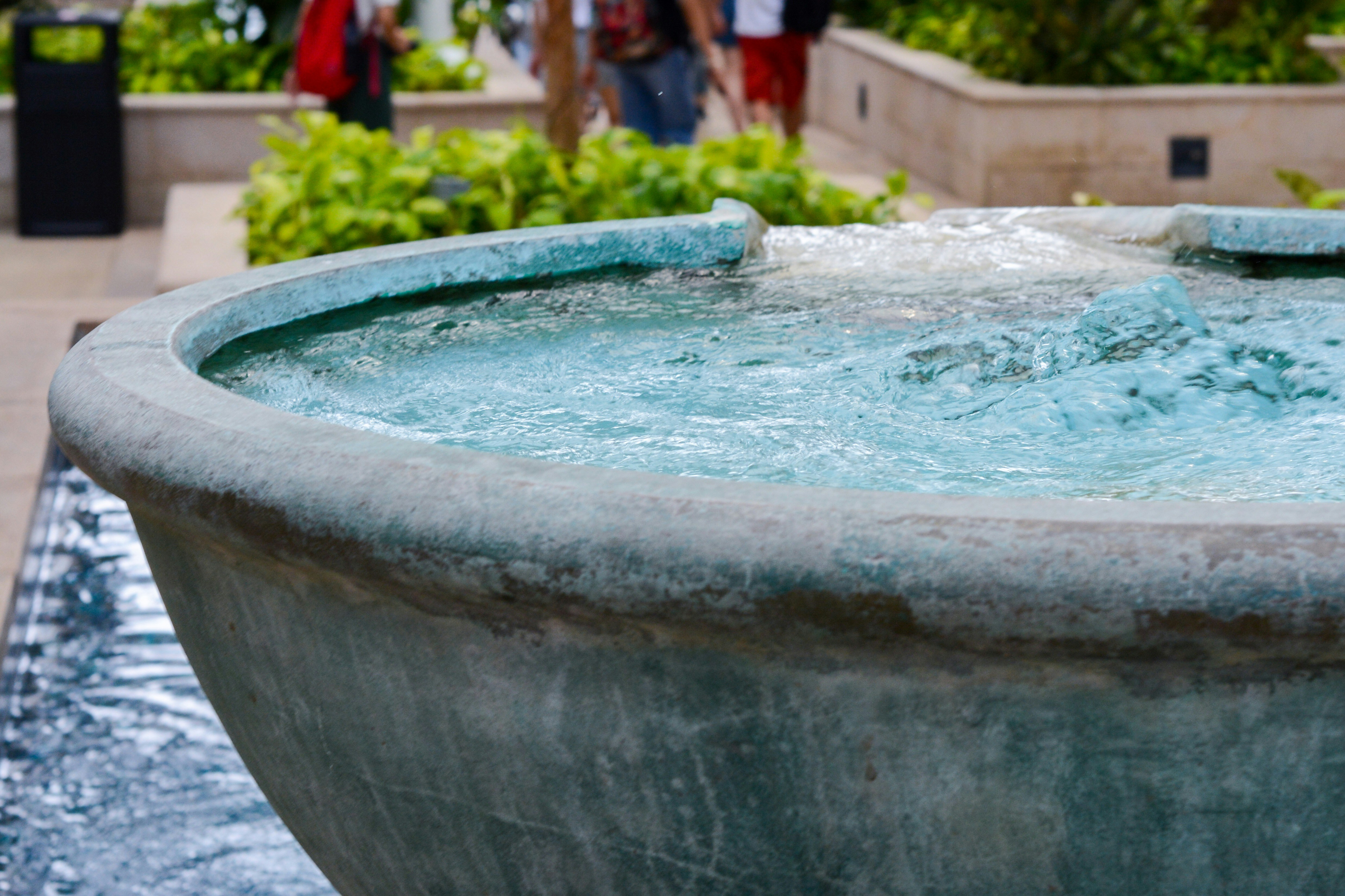 Photo by moononmoons