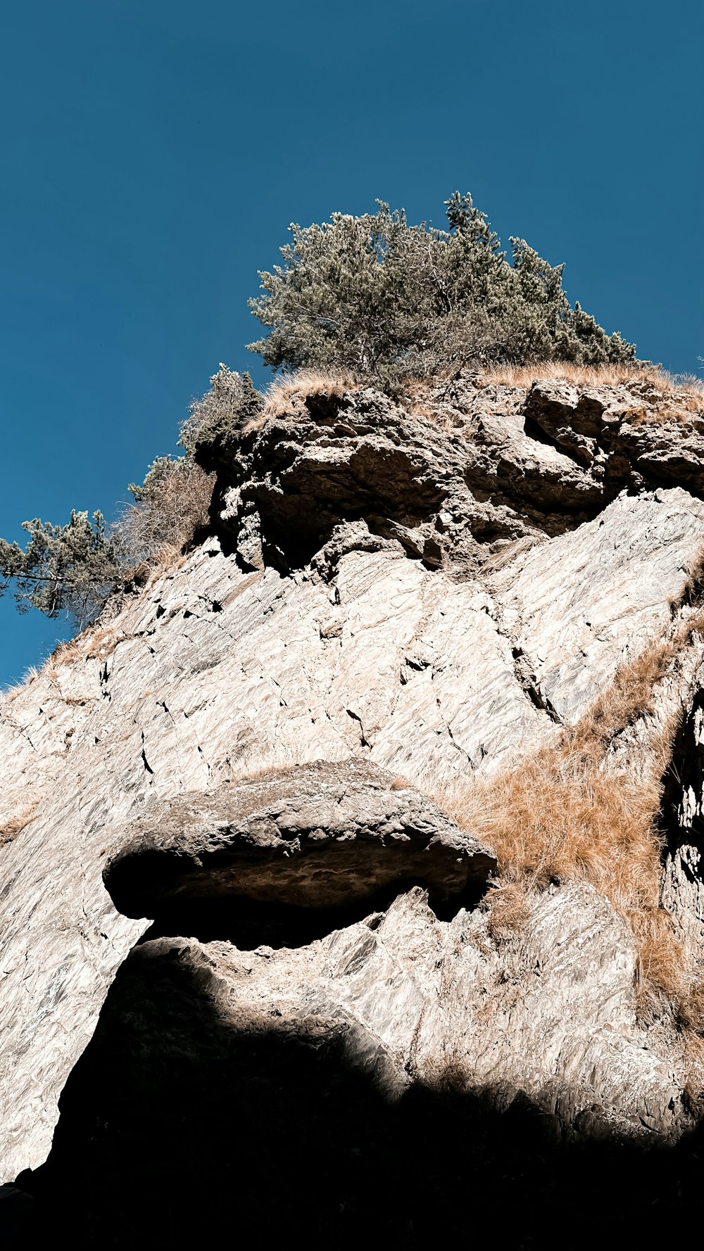 a rock formation with trees on it