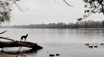 Dunakeszi Hungary