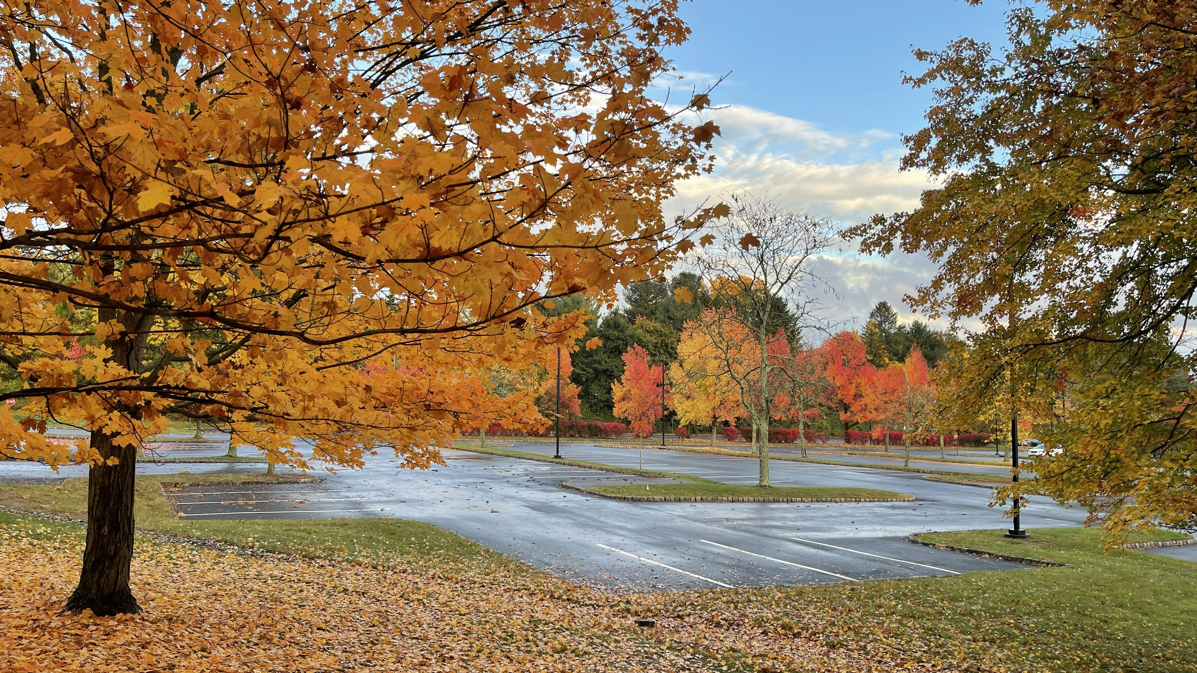 MMU destination photo