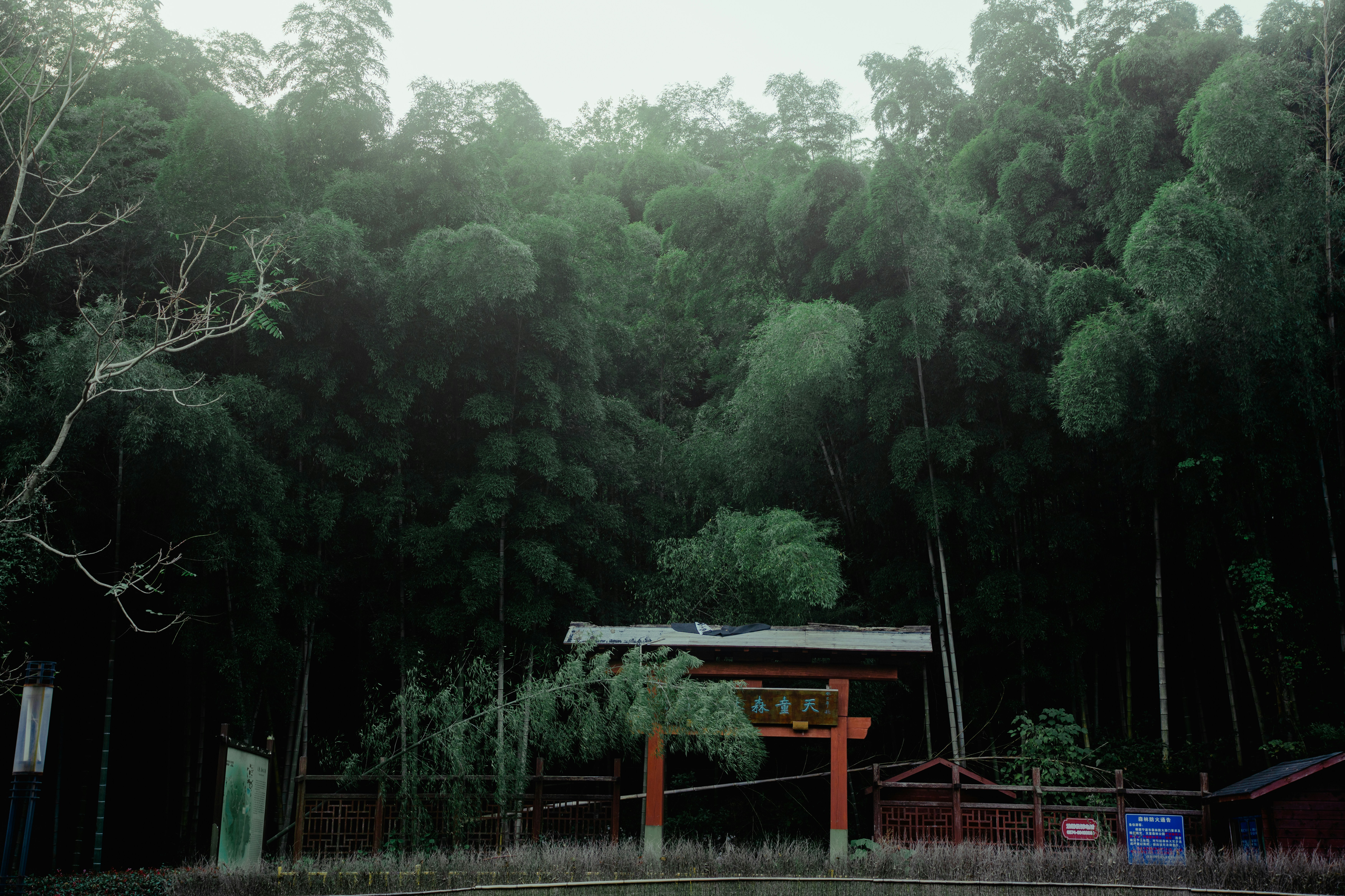 a building with trees in the back