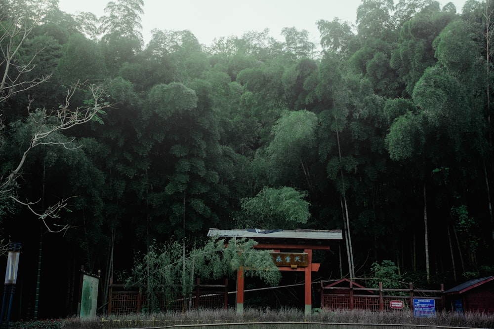 a building with trees in the back