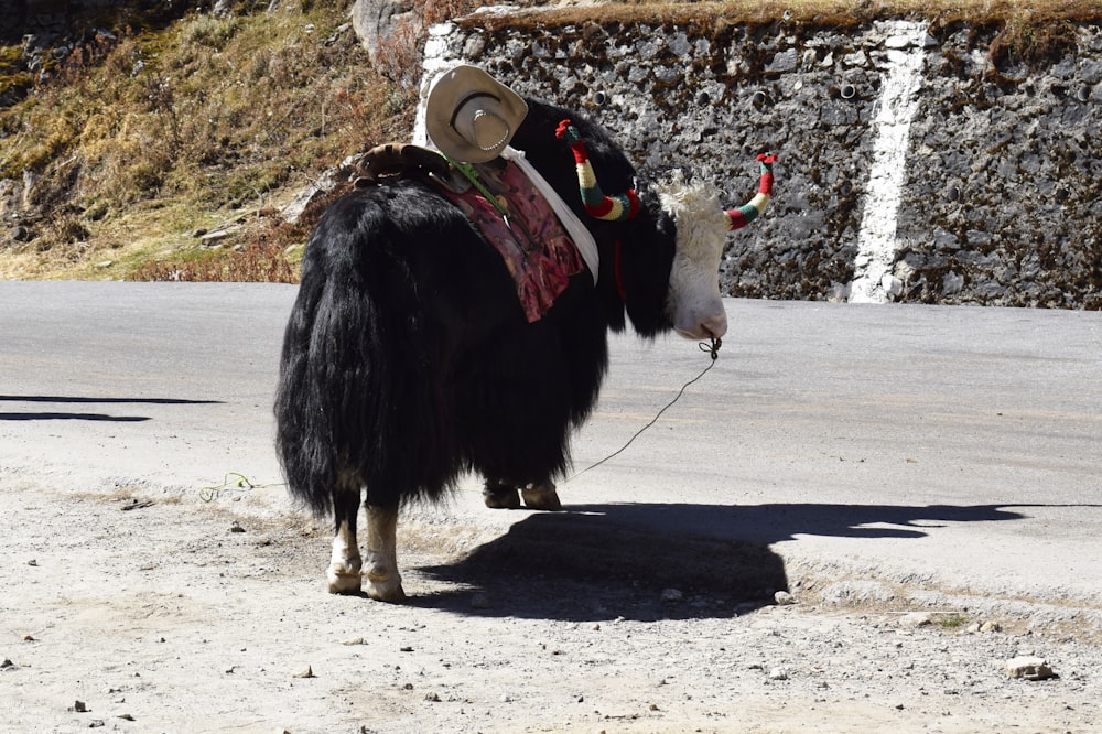 a donkey wearing a hat and scarf