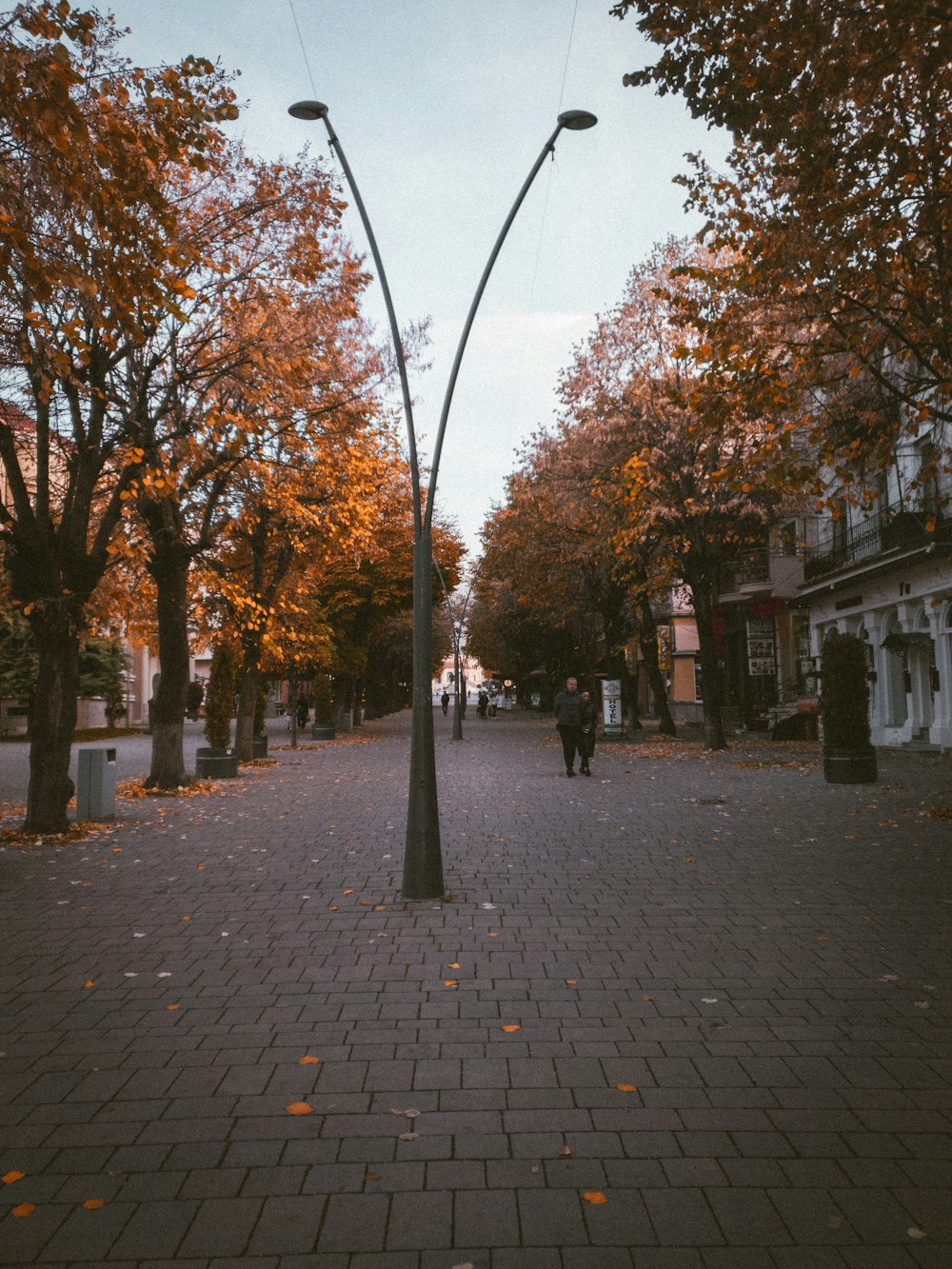 a brick road with trees on either side of it