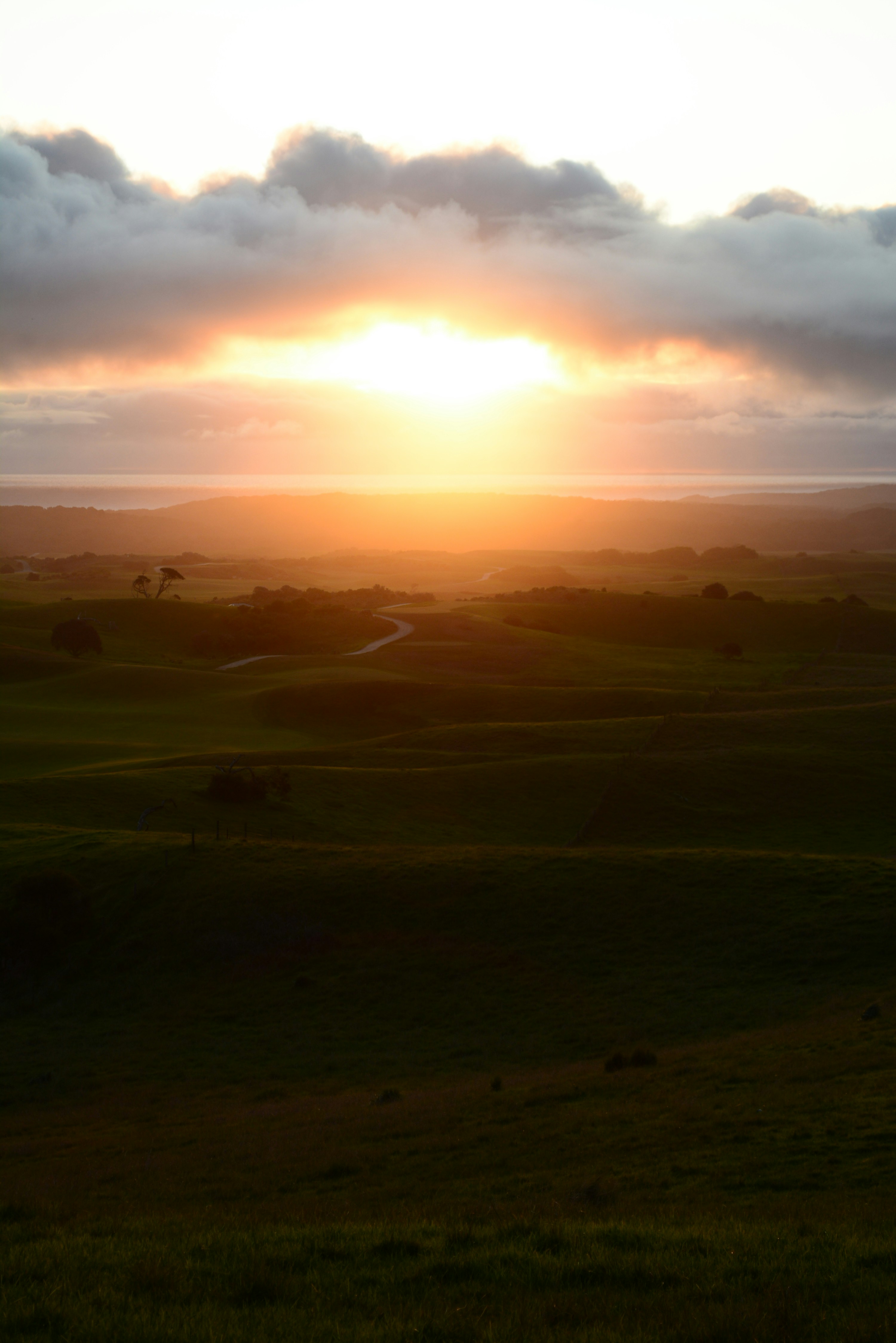 Photo by richard7seals