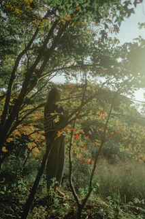 A serene outdoor scene with the author walking thoughtfully among green trees