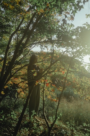 A peaceful scene of a person reflecting quietly in nature, surrounded by trees and soft sunlight.