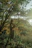 A peaceful image of a man reflecting quietly outdoors with gentle sunlight filtering through trees.