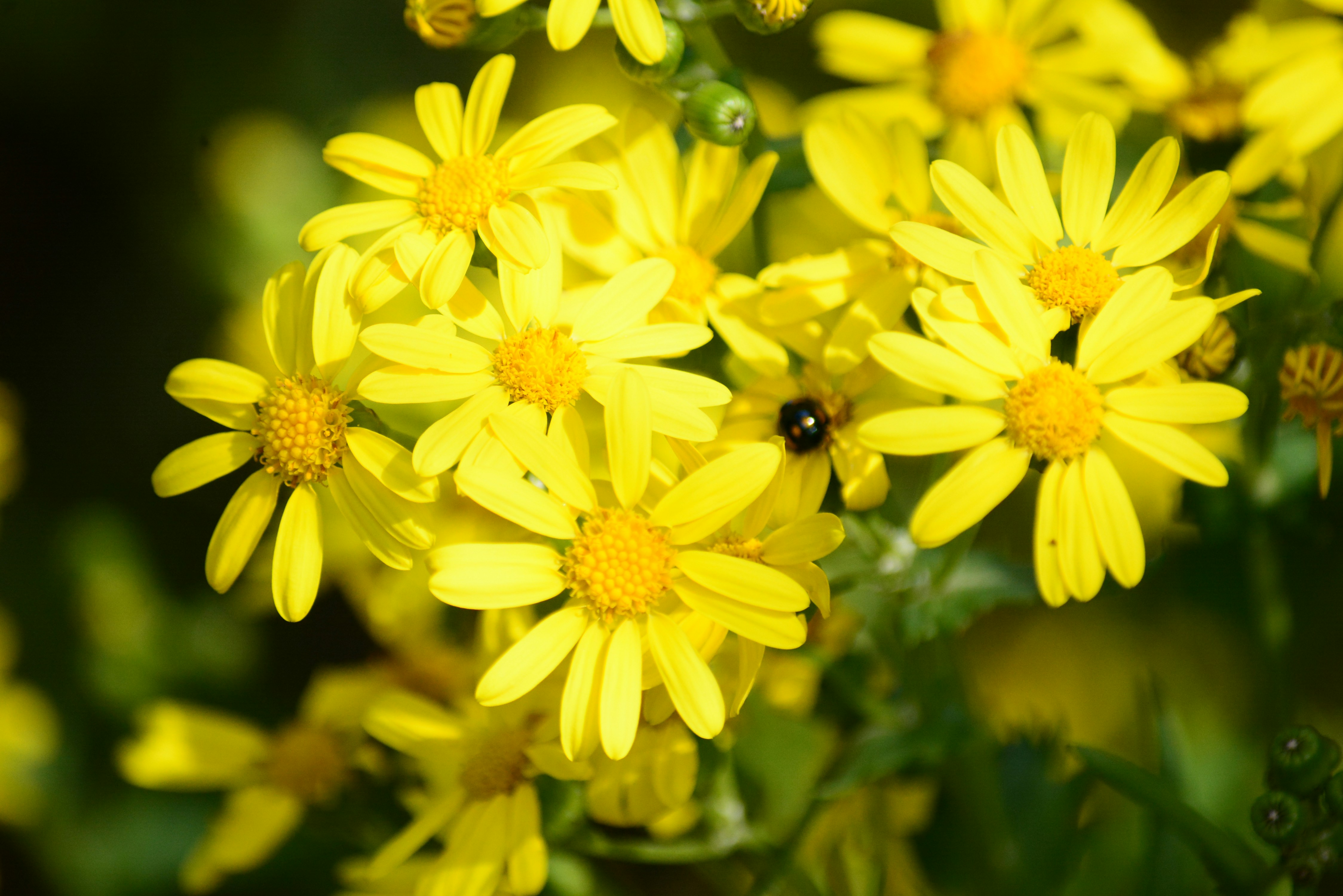 Photo by richard7seals