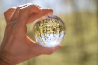 a hand holding a globe