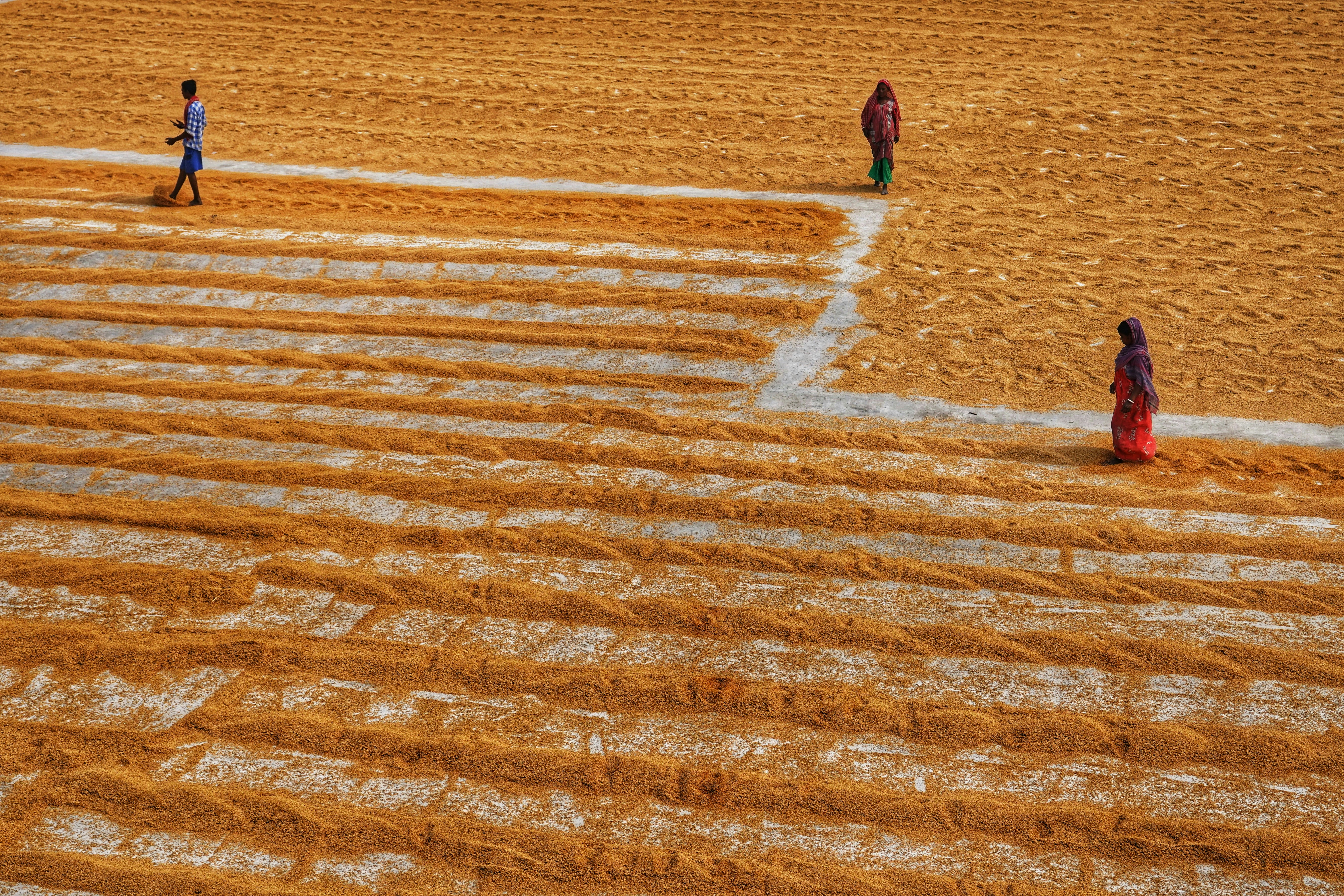 Photo by dibakar16roy