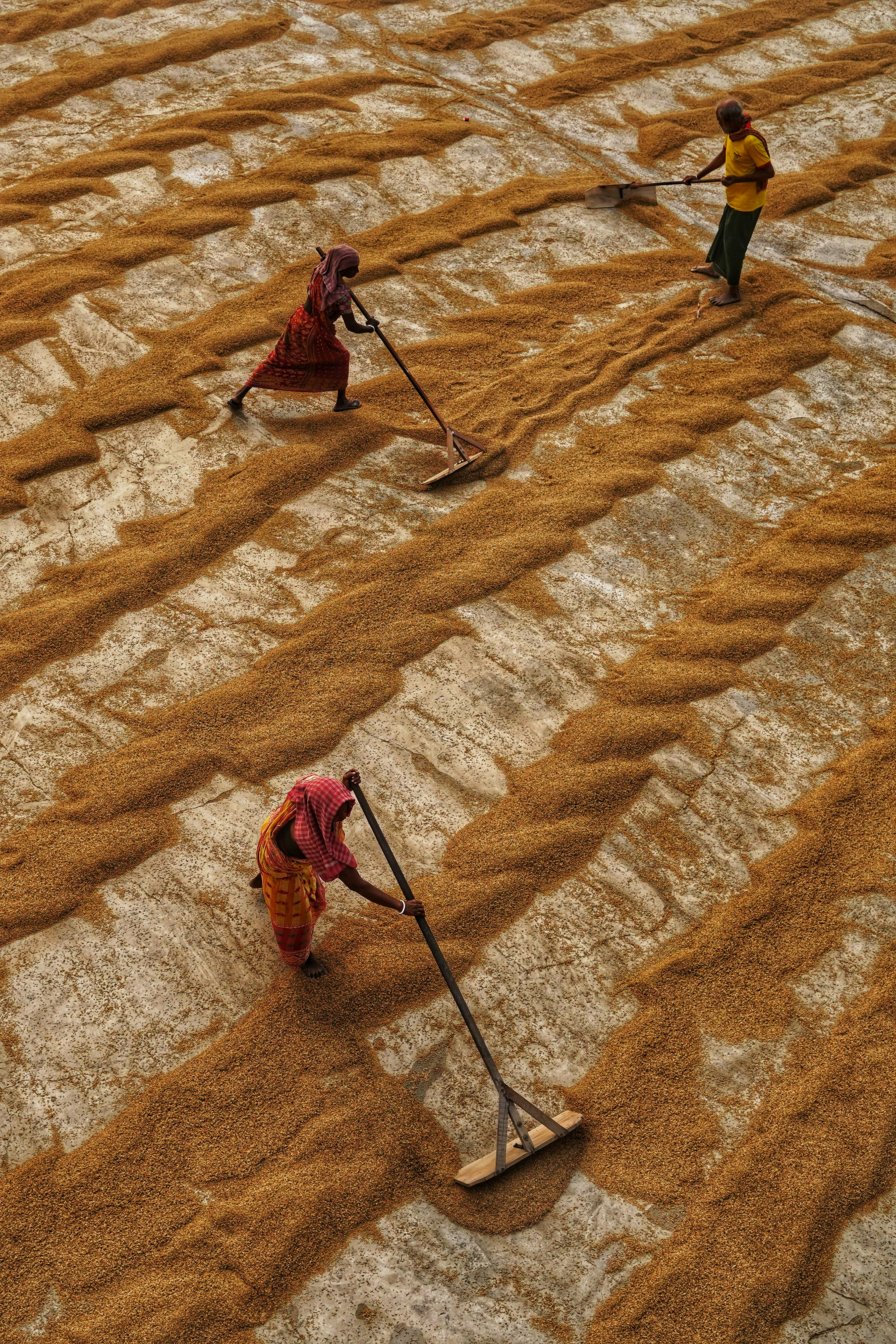 Photo by dibakar16roy