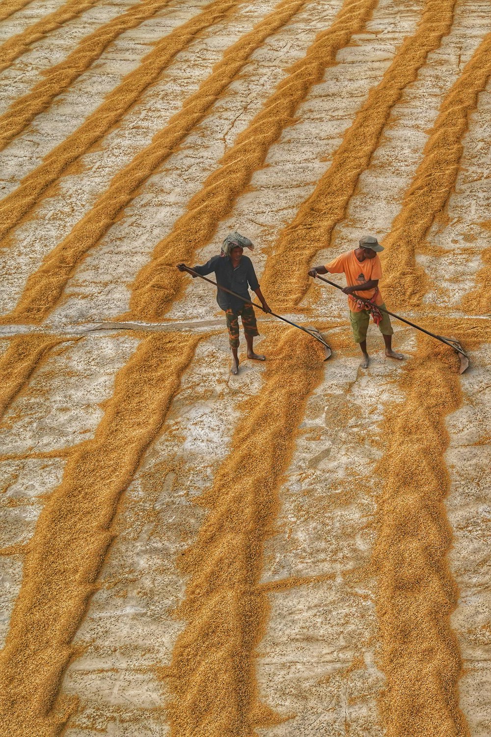 a couple of men working in a field