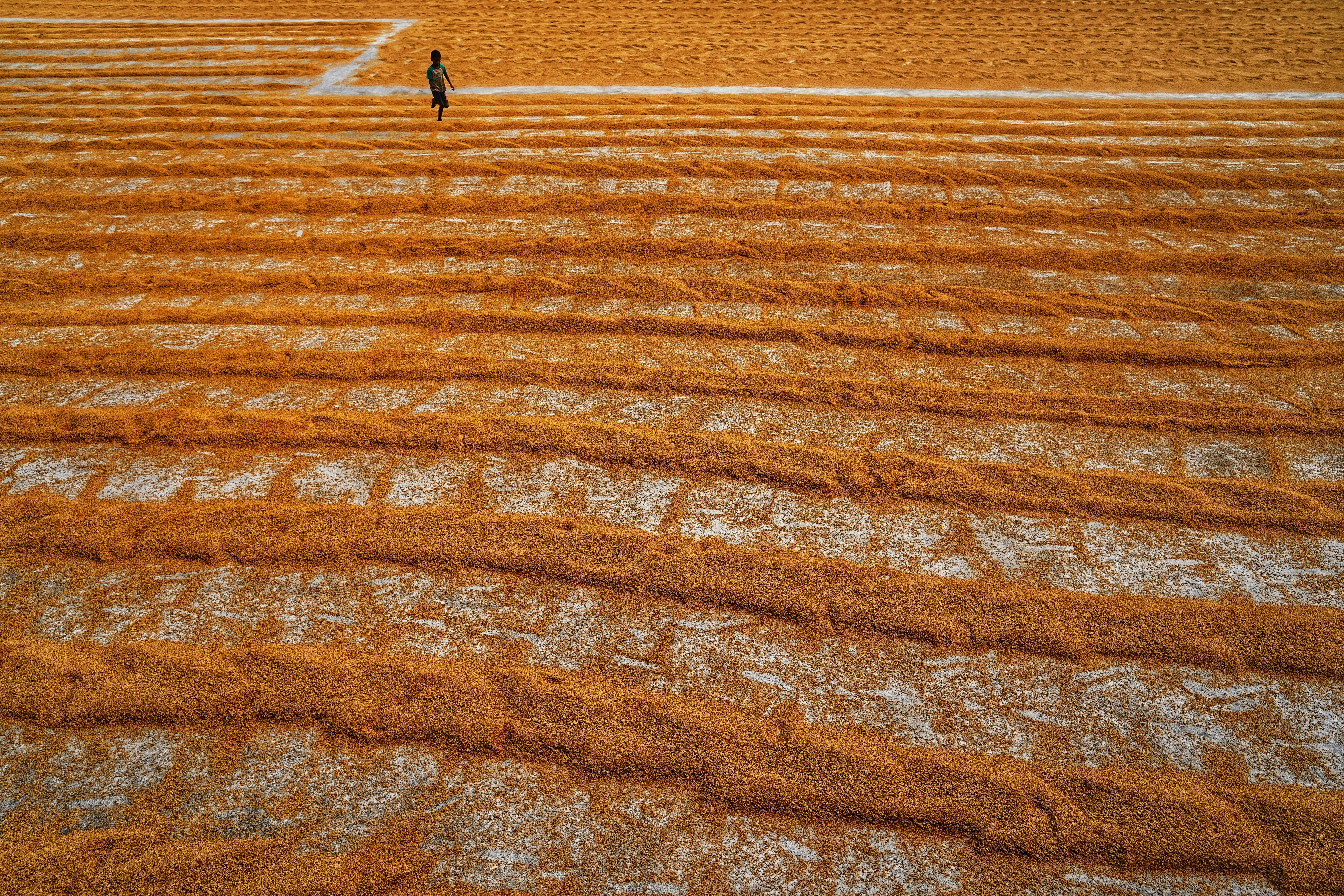 Photo by dibakar16roy