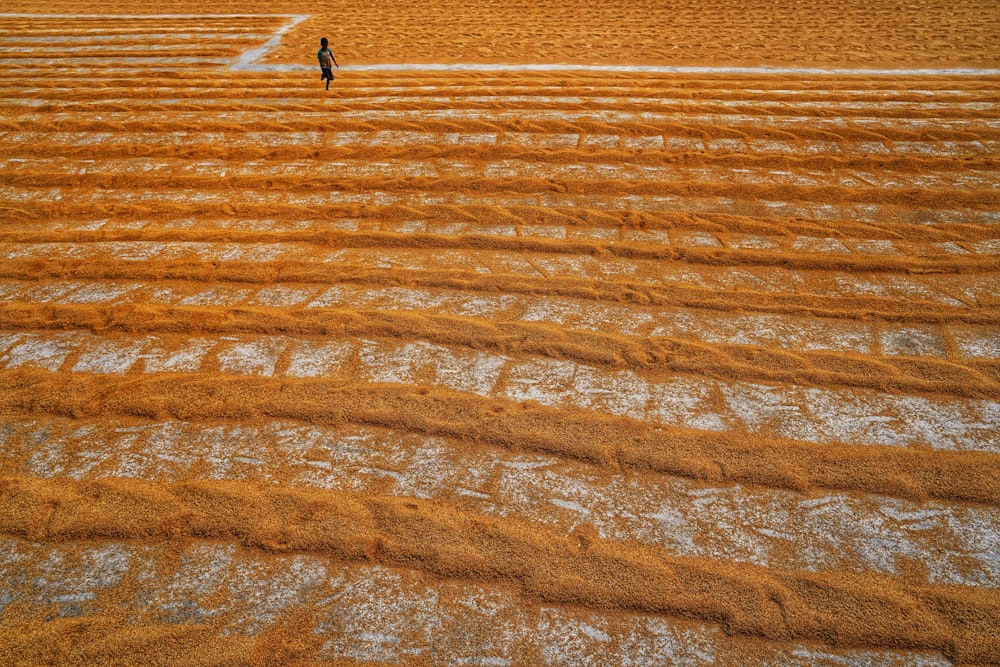 a person walking on a dirt road