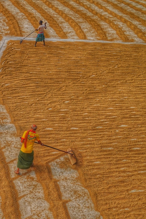 a couple of people walking on a dirt road with a pair of skis