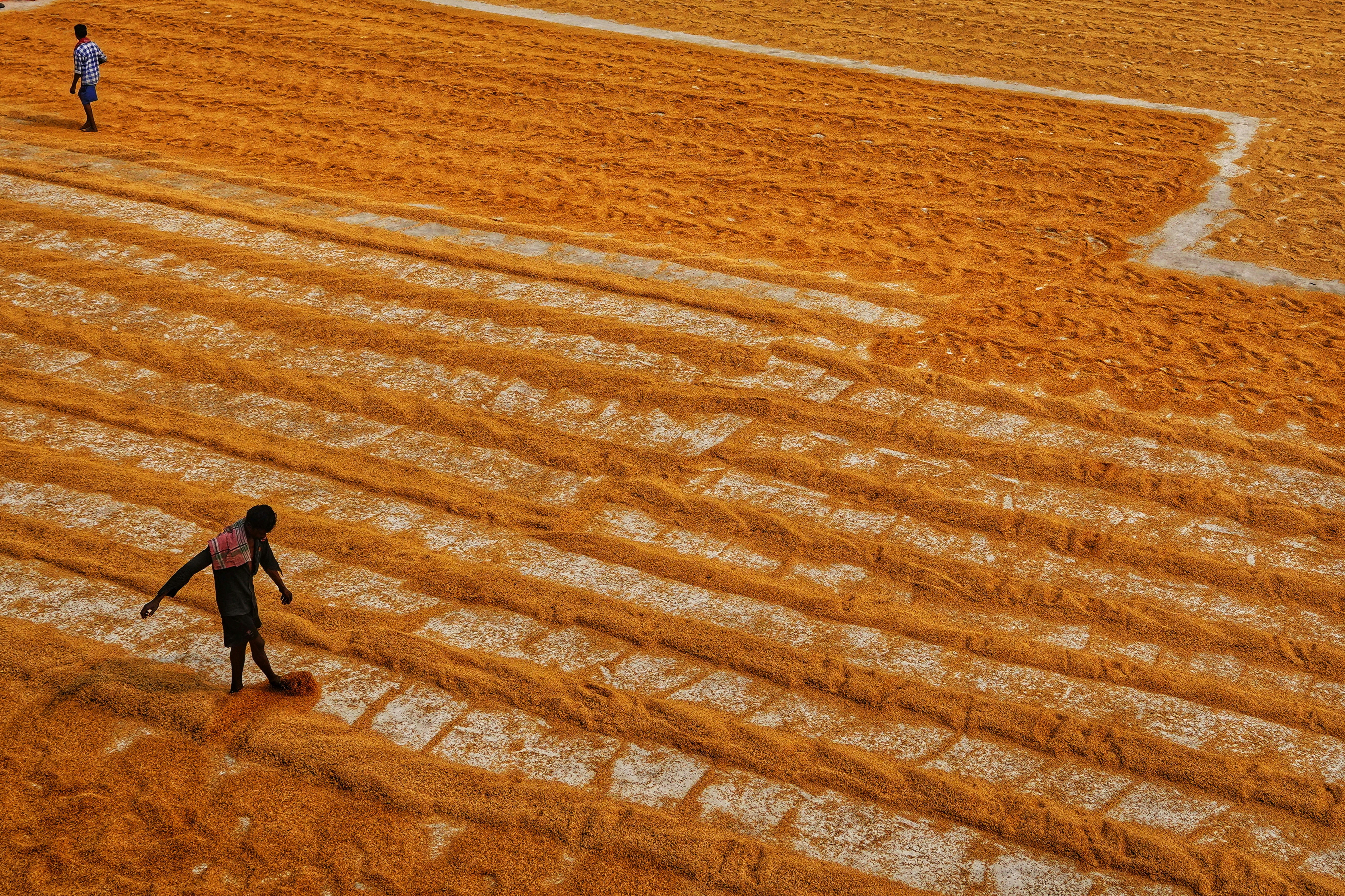 Photo by dibakar16roy