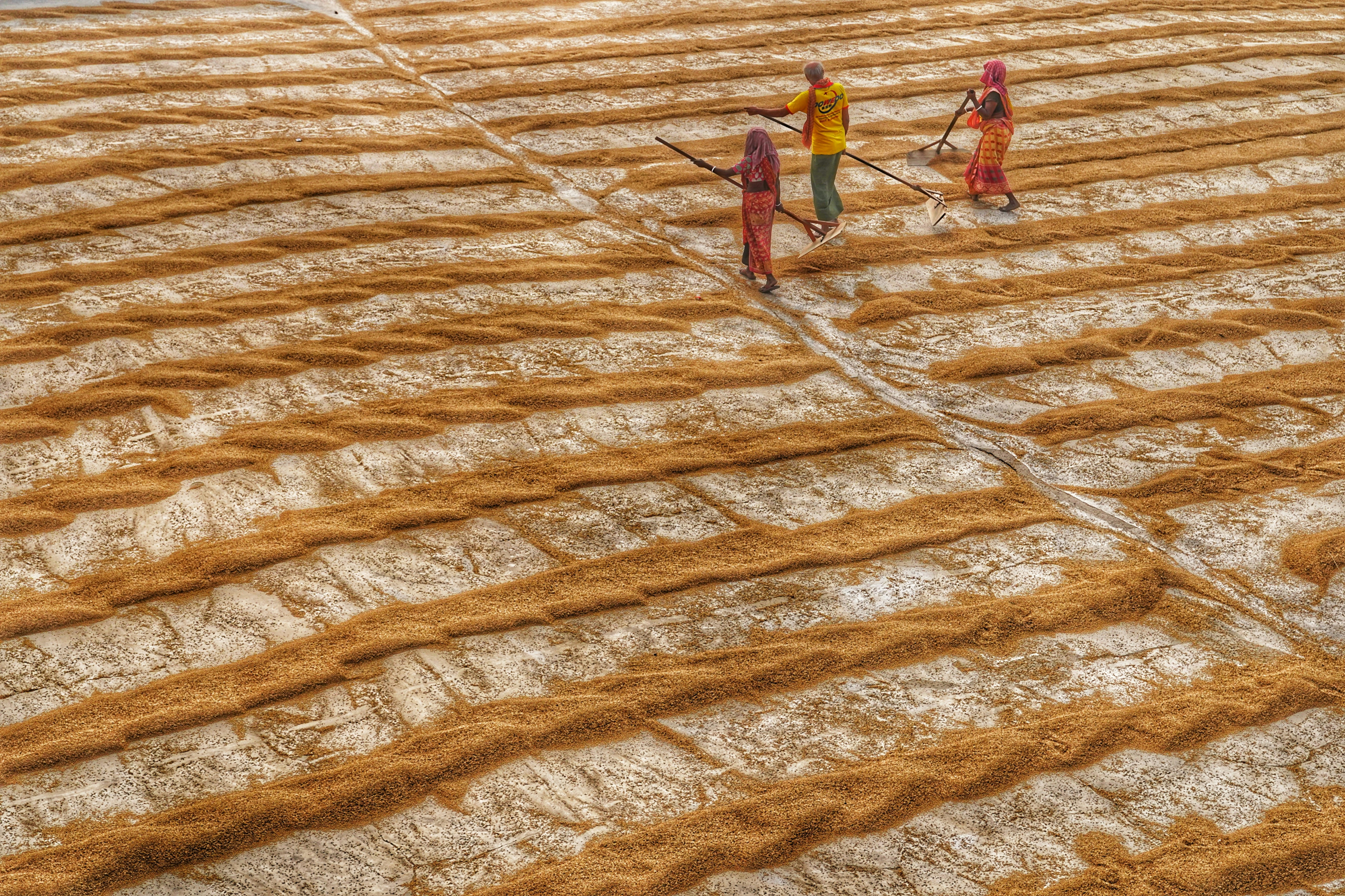 Photo by dibakar16roy